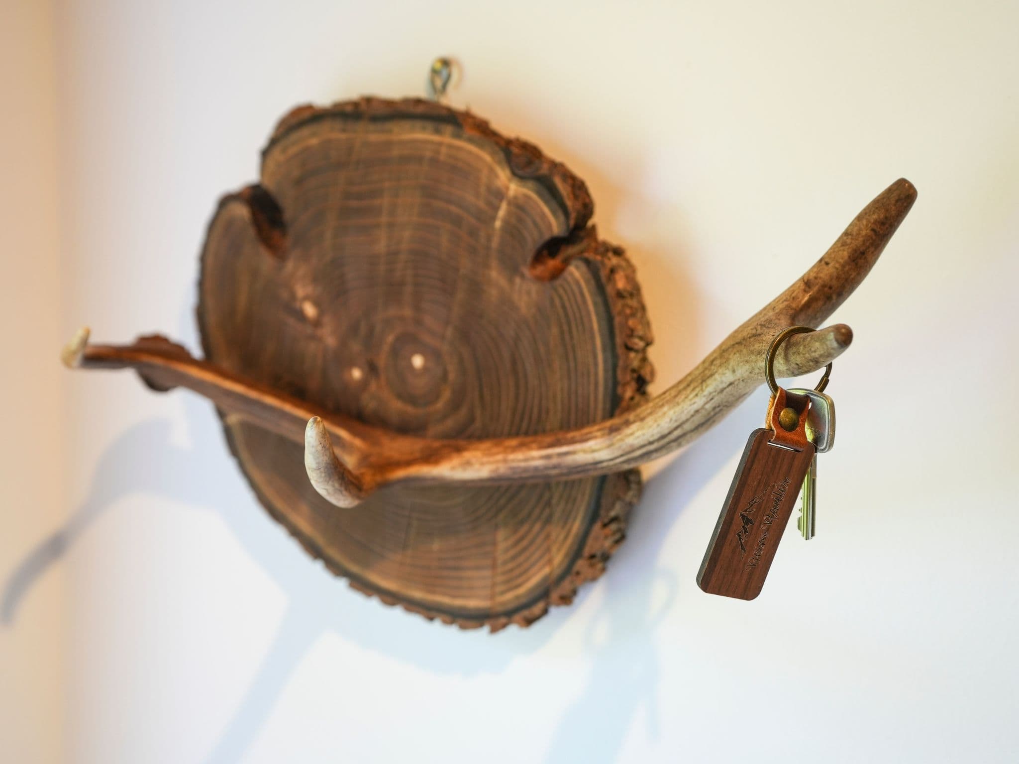 Gallery Image 49