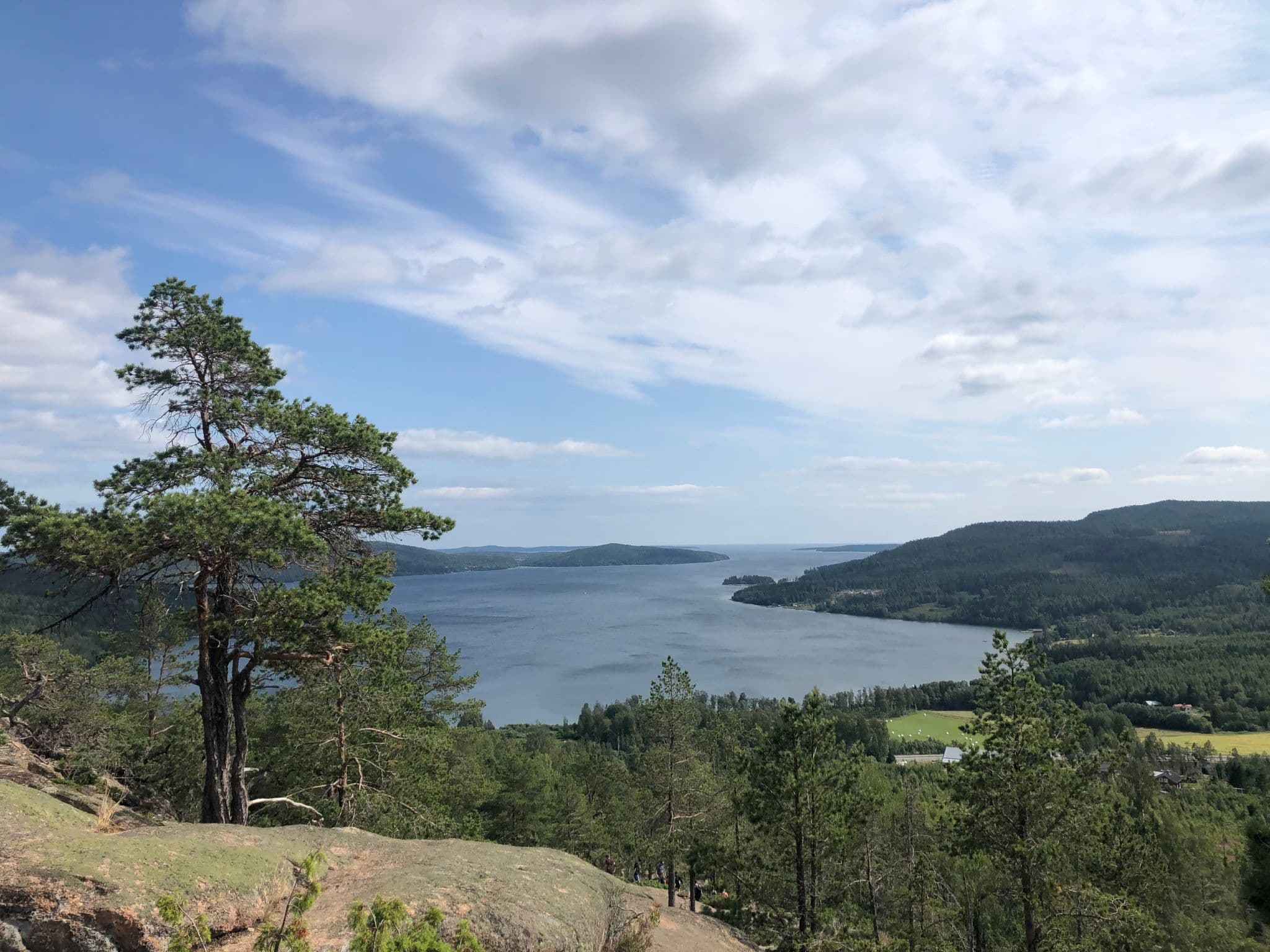 View