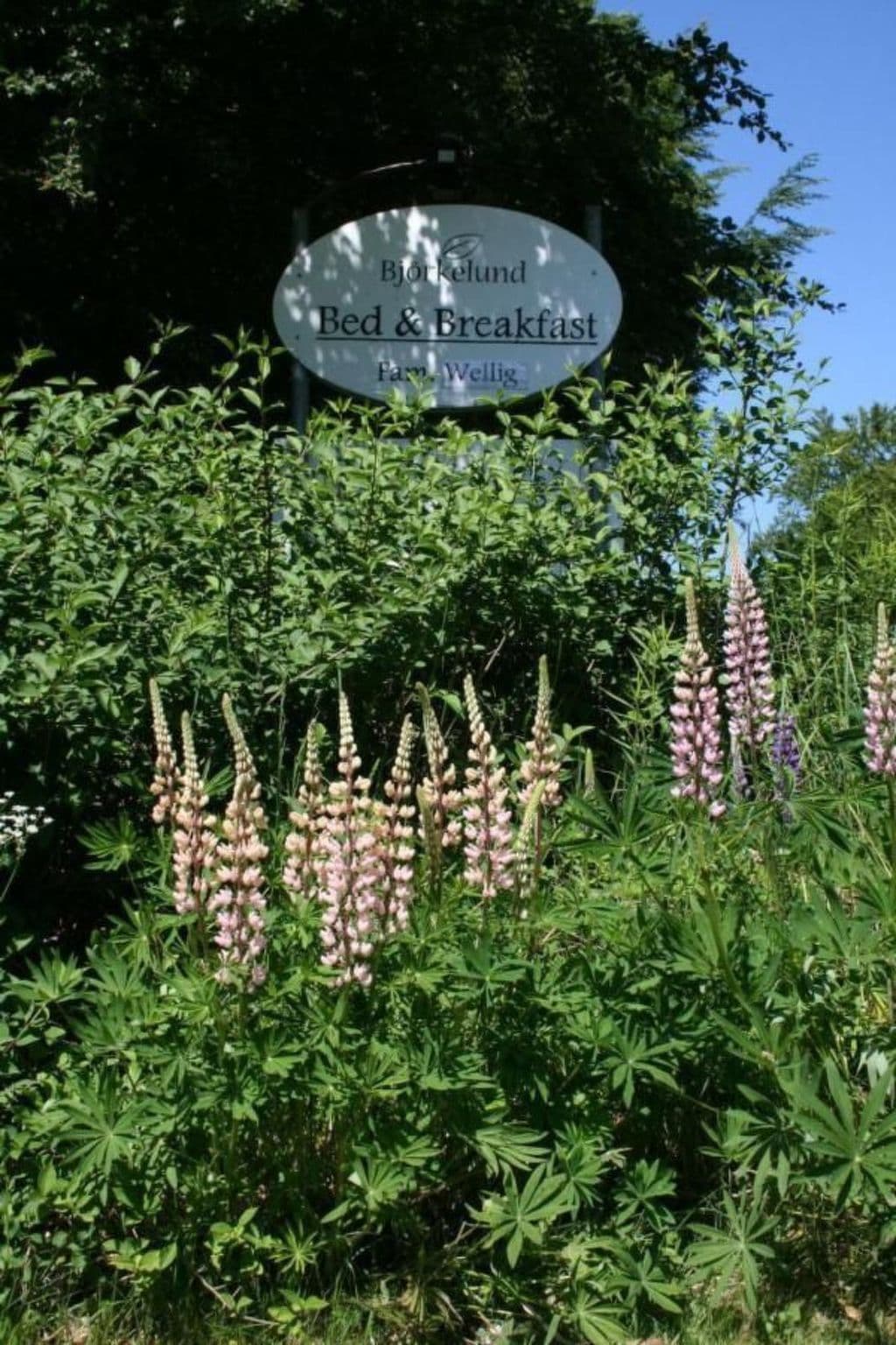 Gallery Image 15