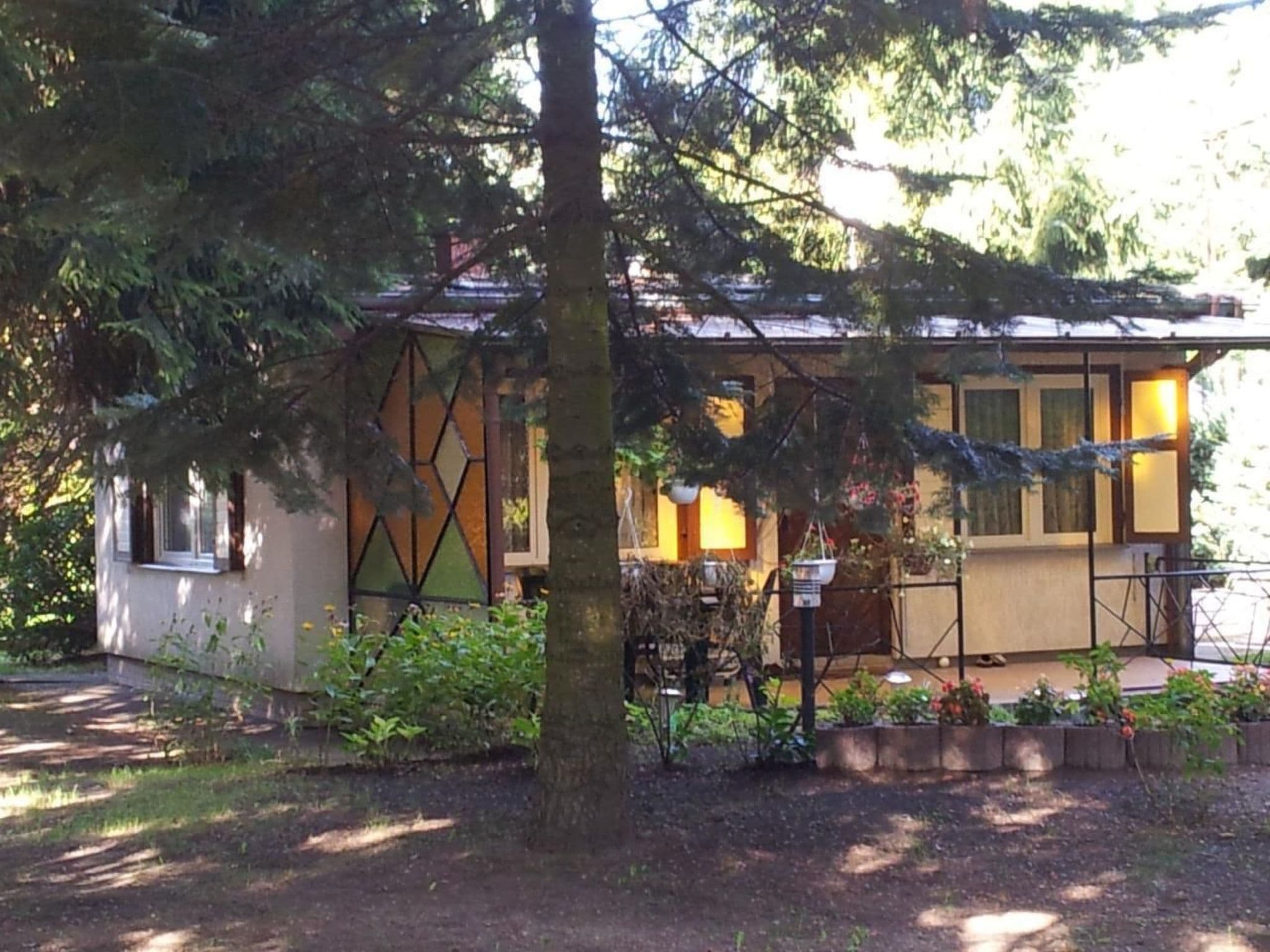 Gallery Image 7