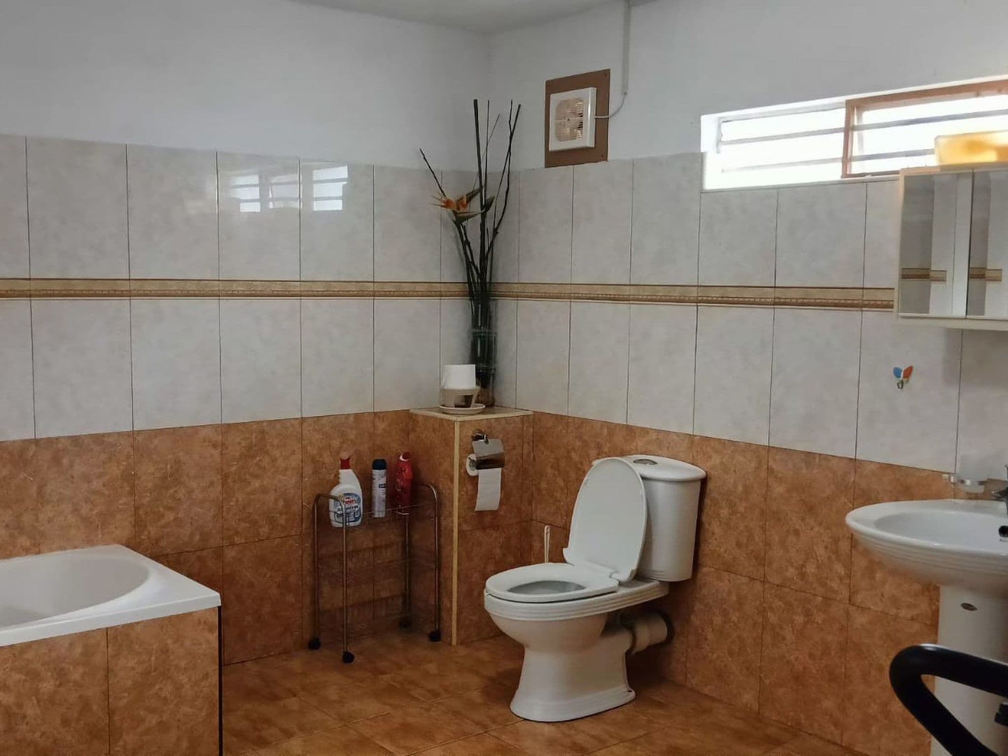 Bathroom / Wellness