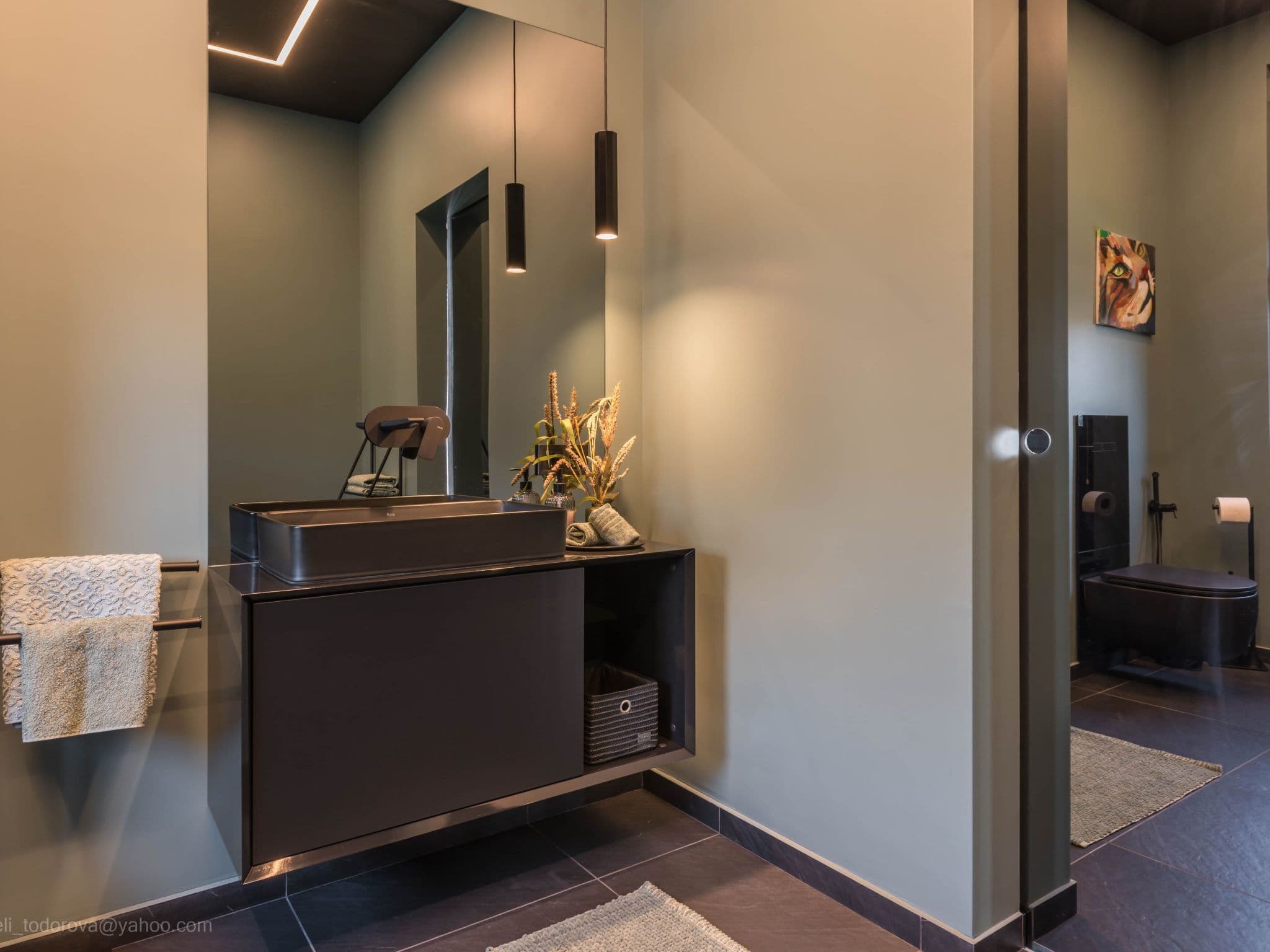 Bathroom / Wellness