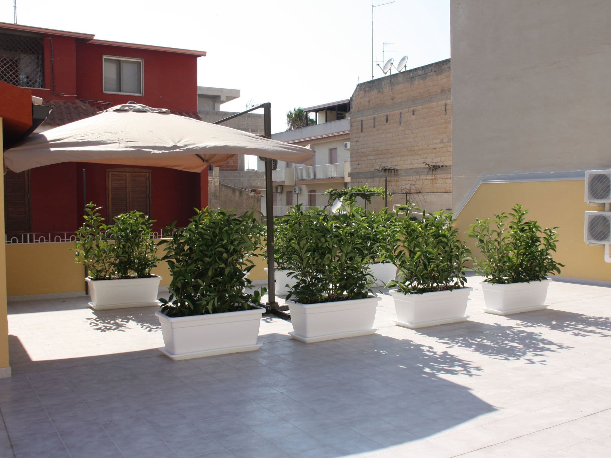 Gallery Image 15