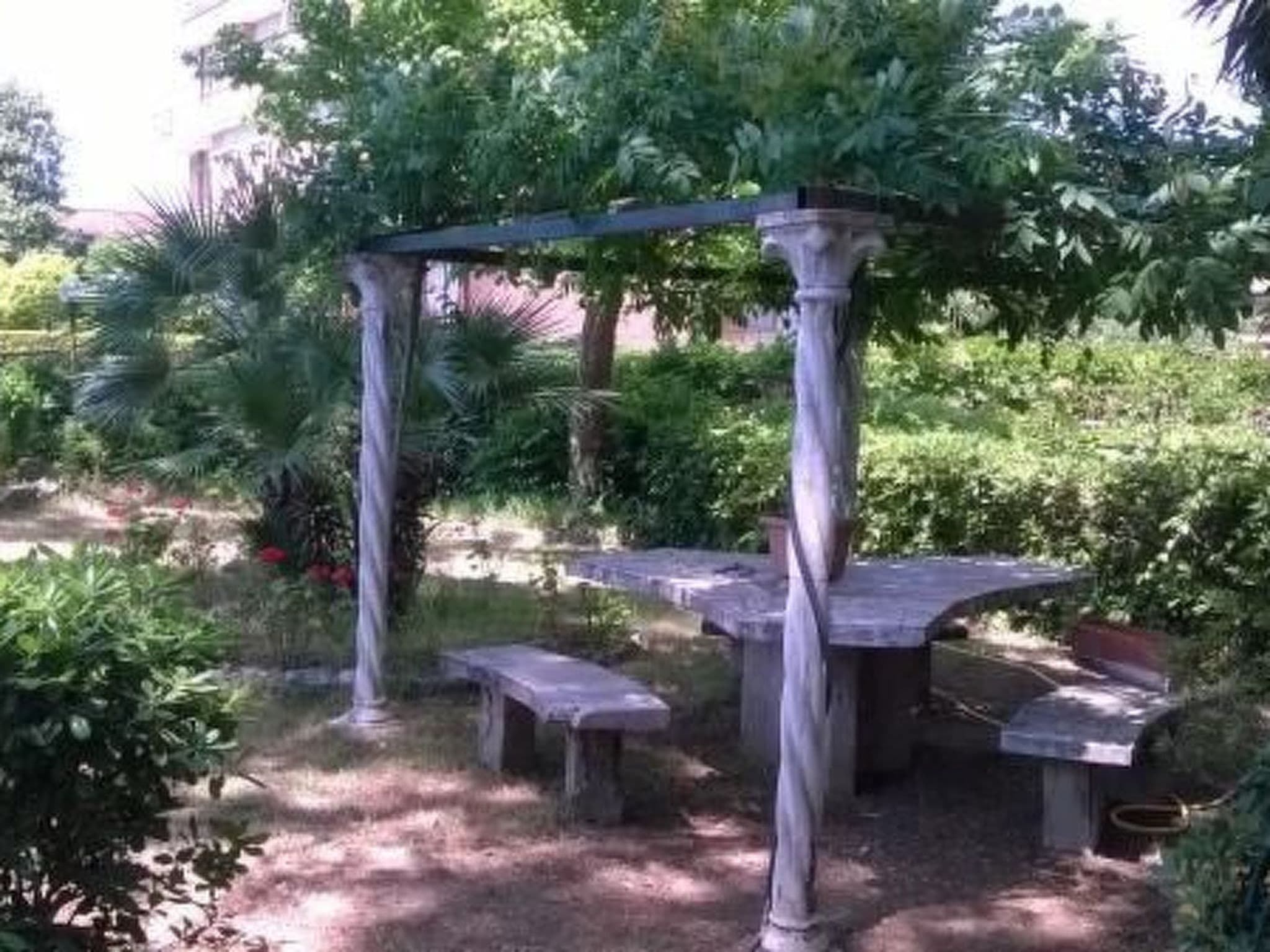 Gallery Image 21