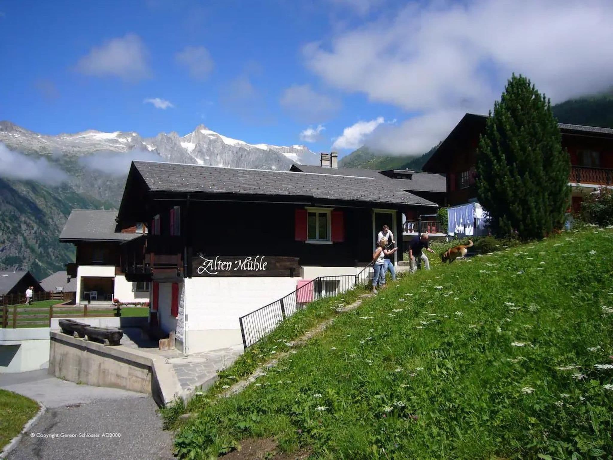 Gallery Image 20