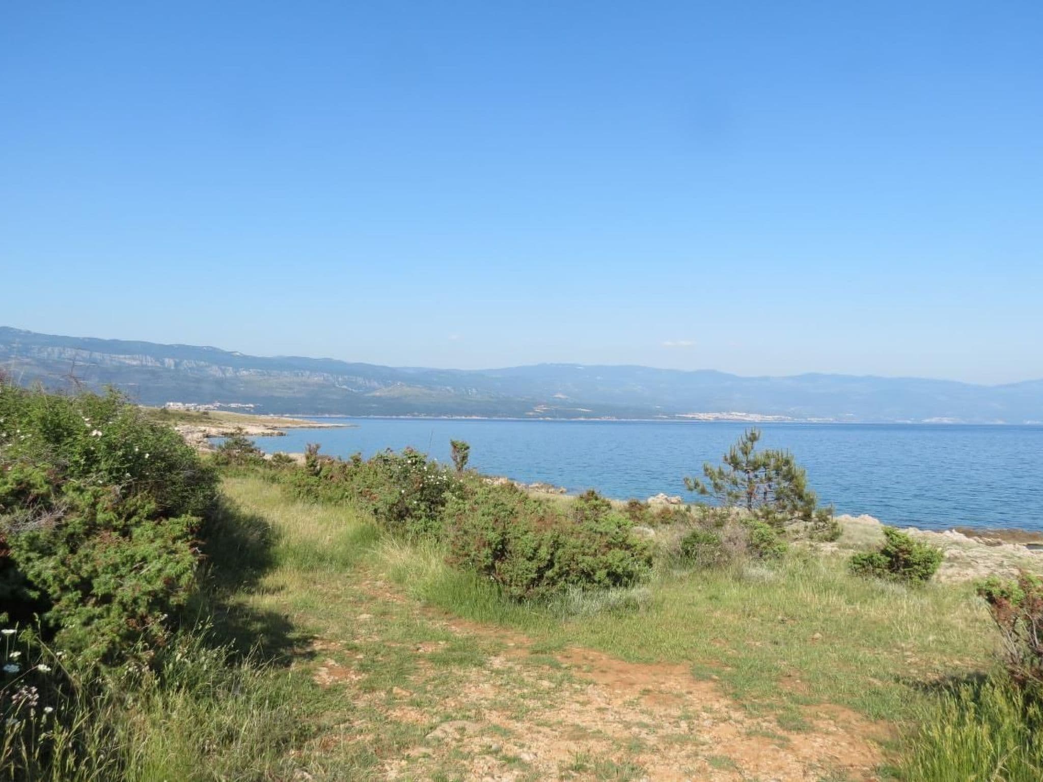 Gallery Image 12