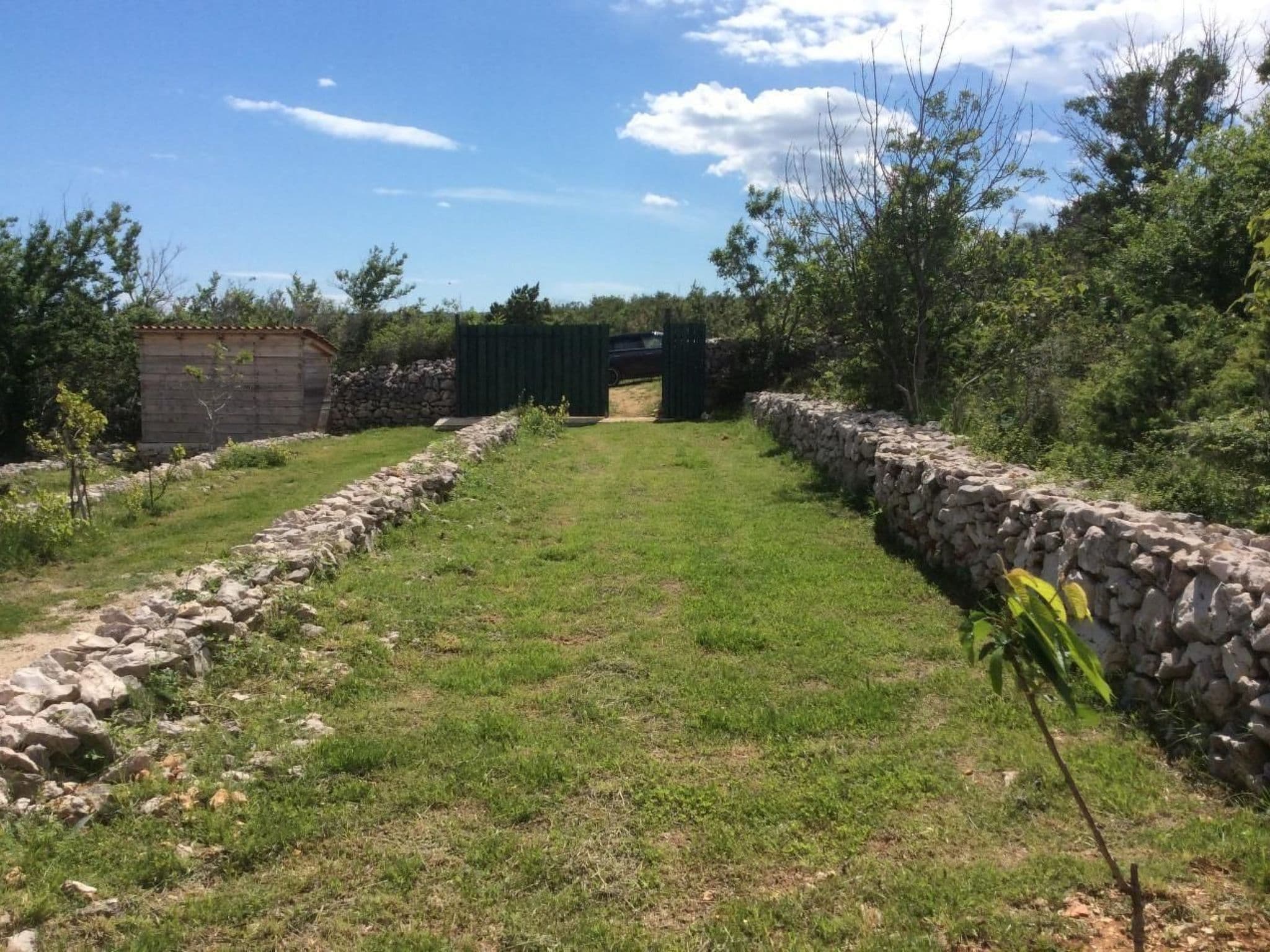 Gallery Image 15