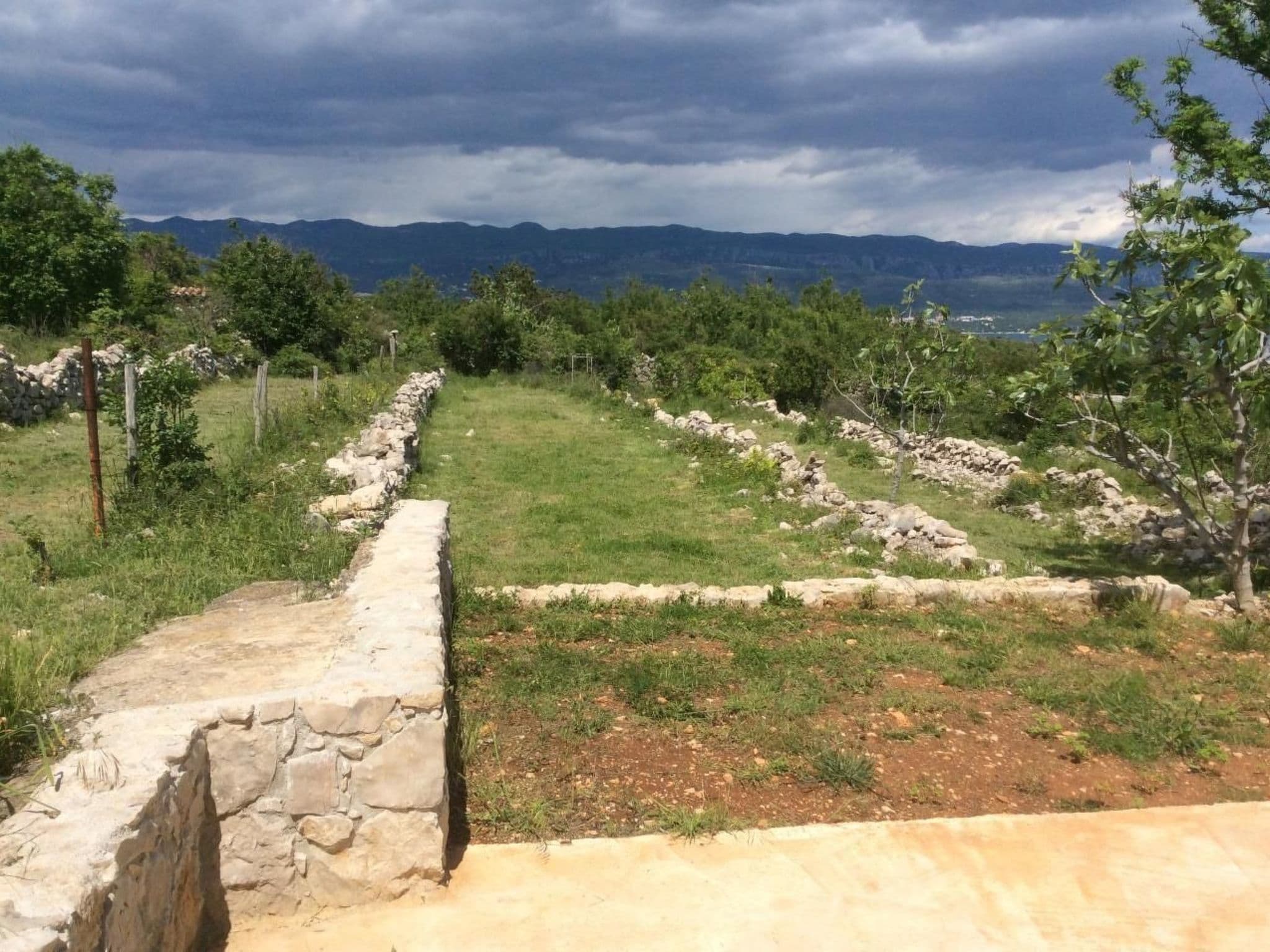 Gallery Image 16