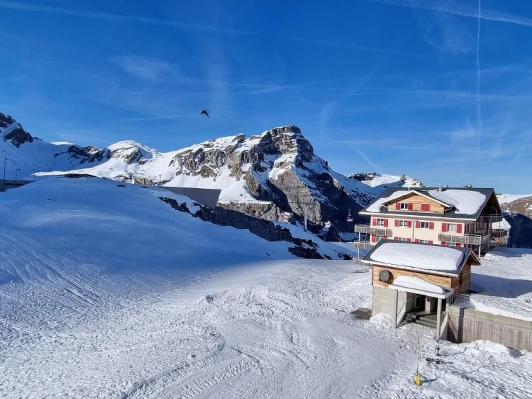 Gallery Image 15
