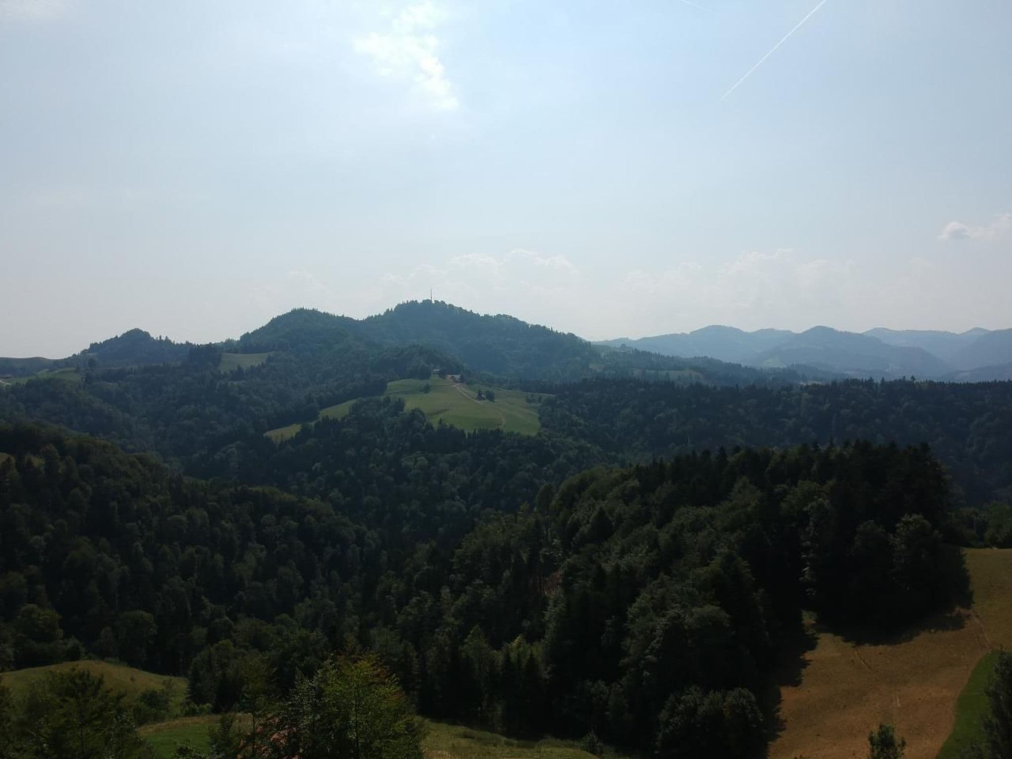 Gallery Image 52