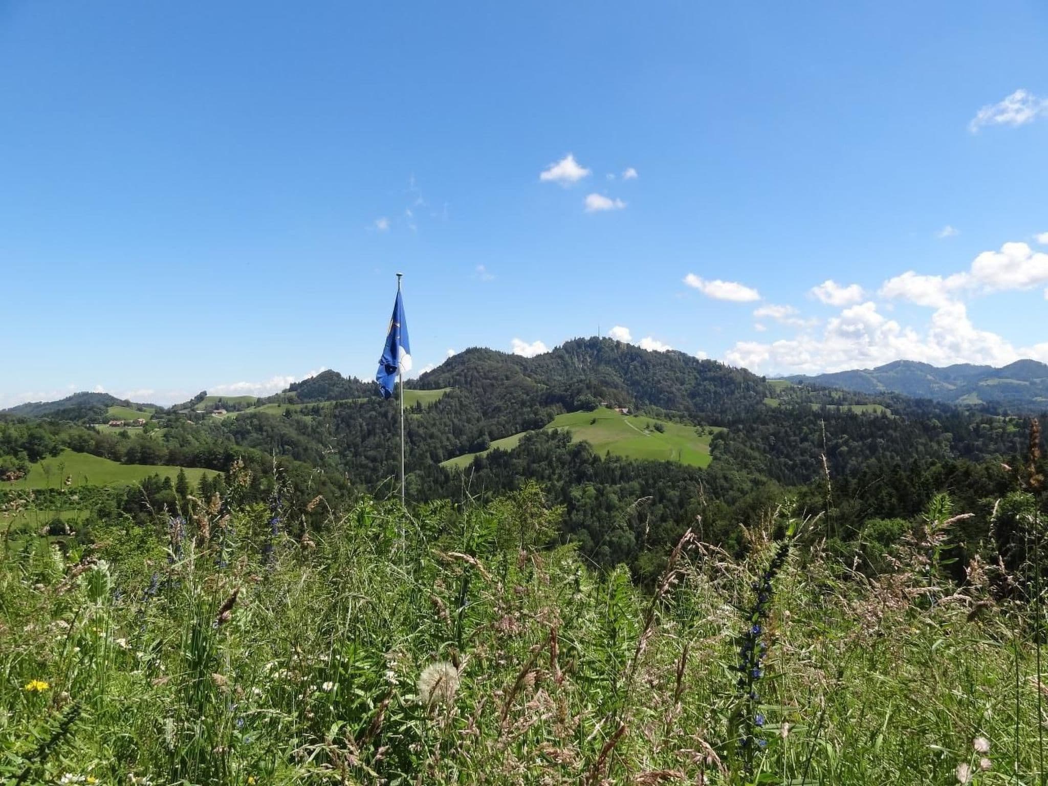 View