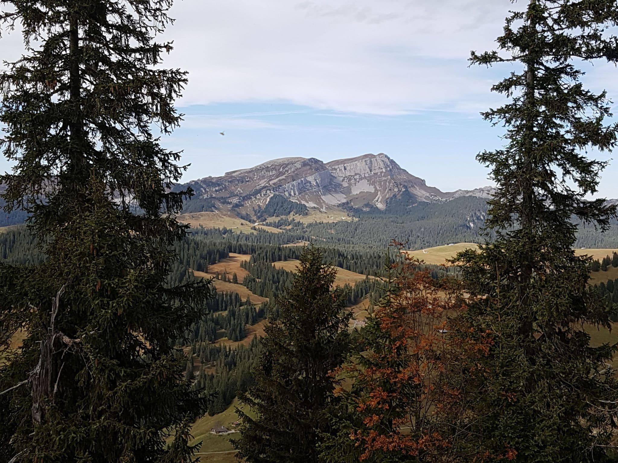 Gallery Image 17