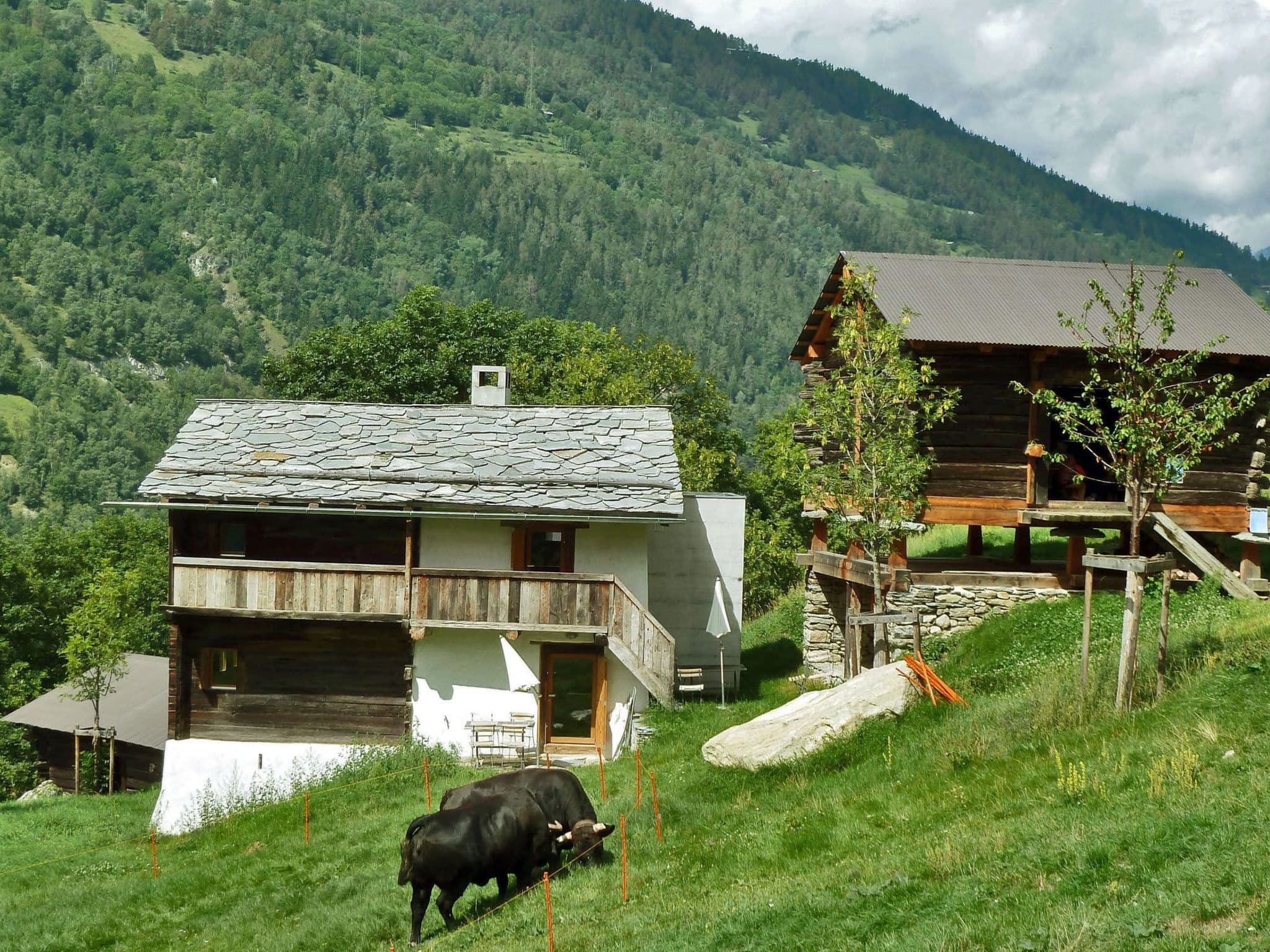 Gallery Image 18