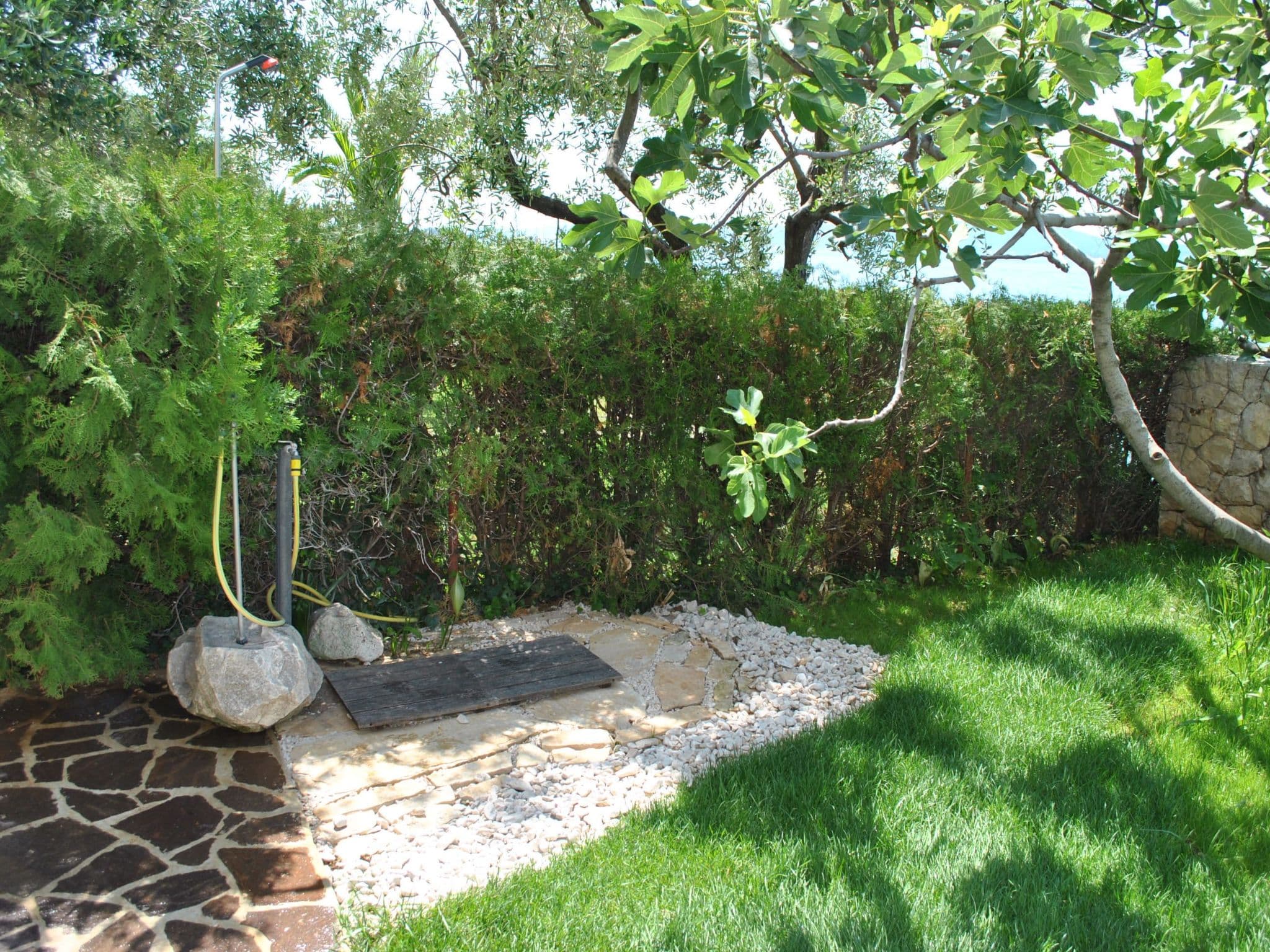 Gallery Image 31