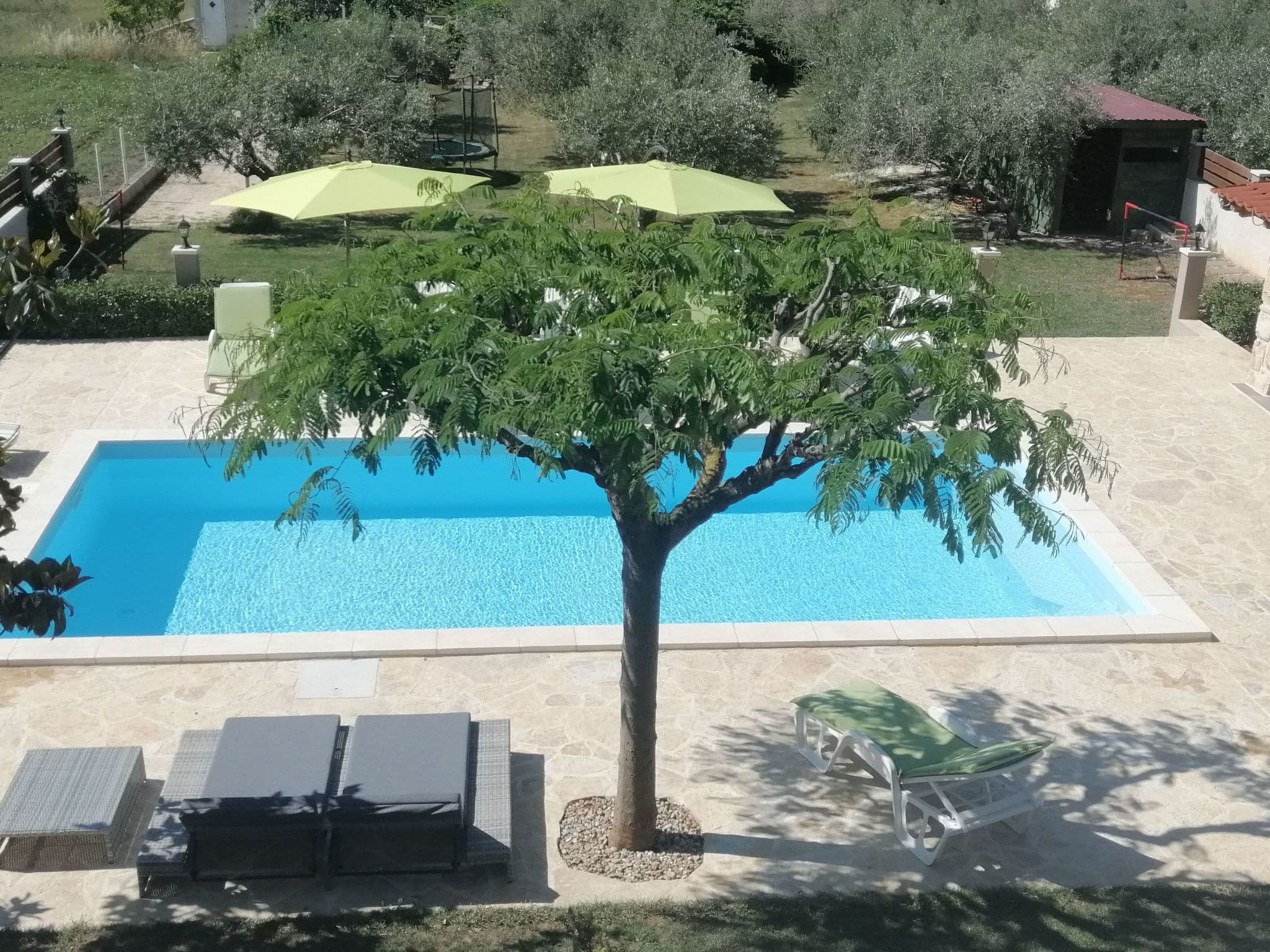 Pool Outdoor