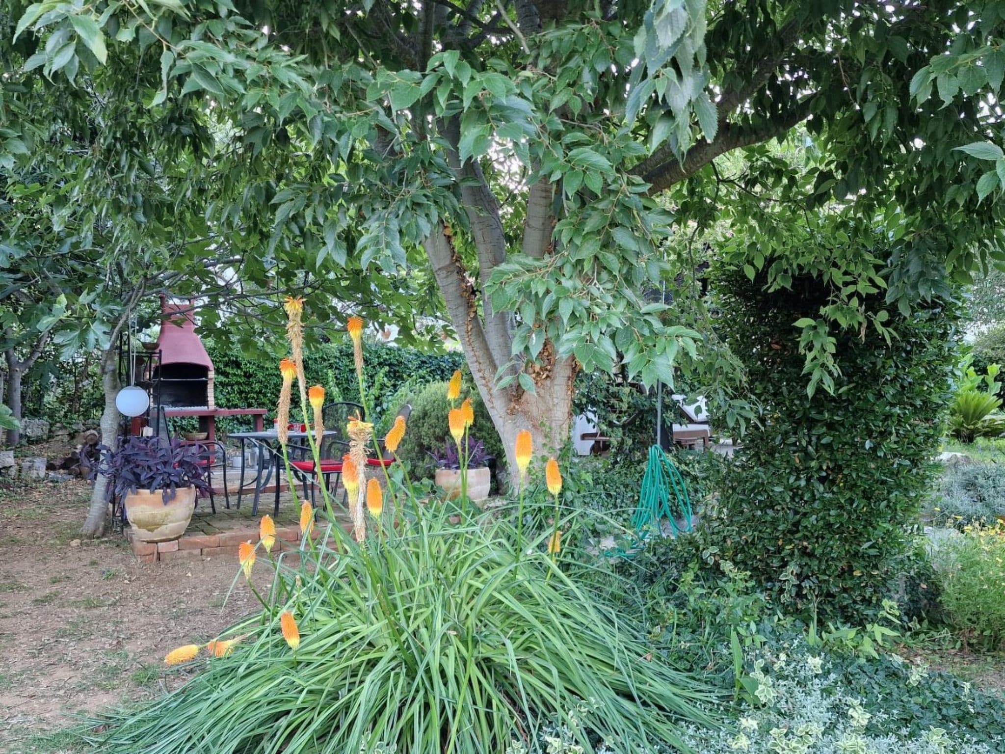 Gallery Image 53