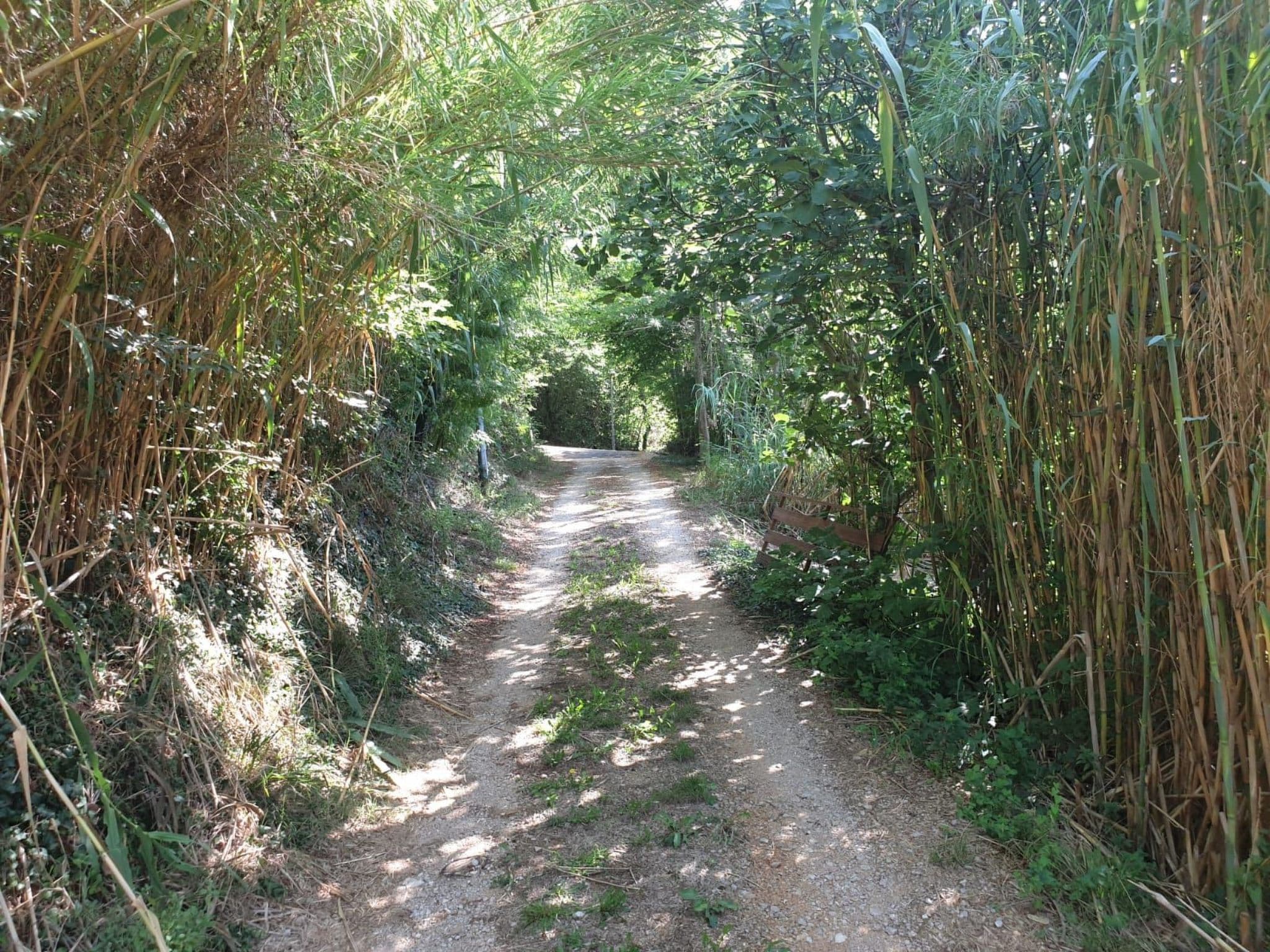 Gallery Image 19