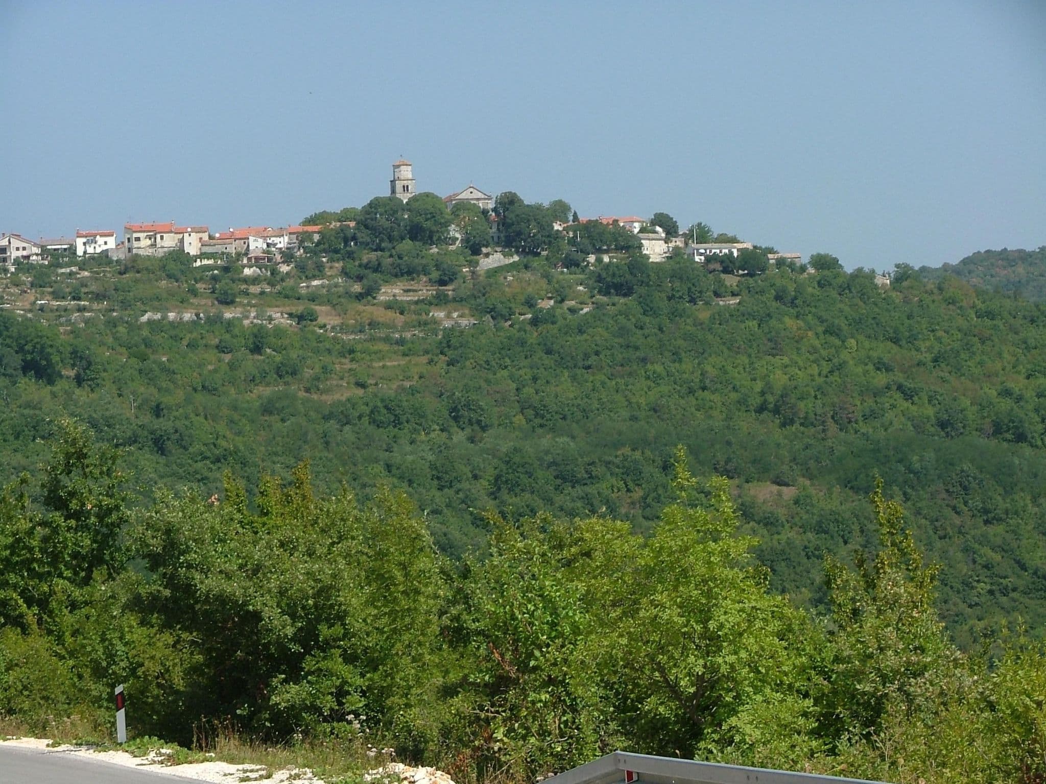 Gallery Image 49