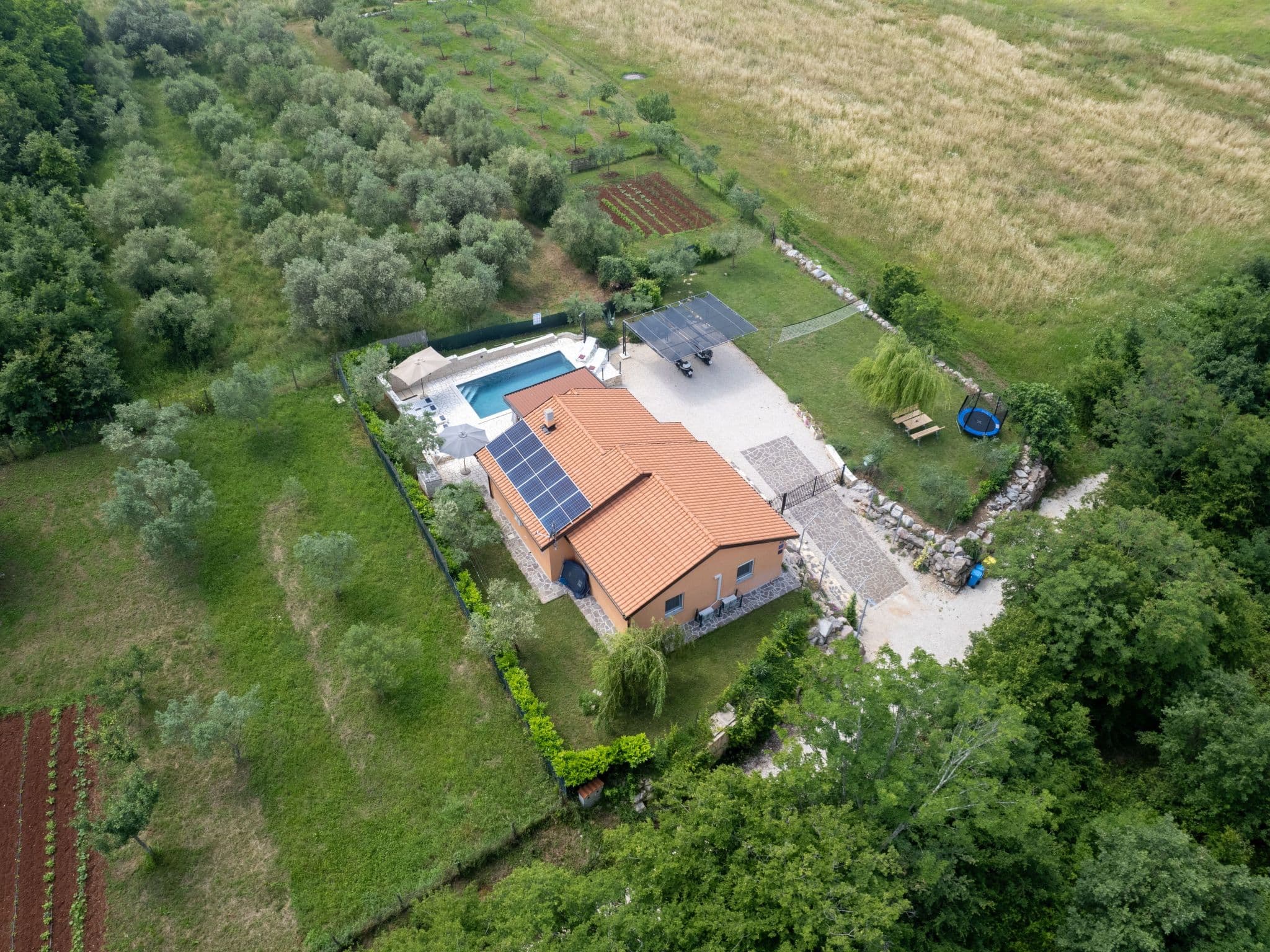 Aerial photography