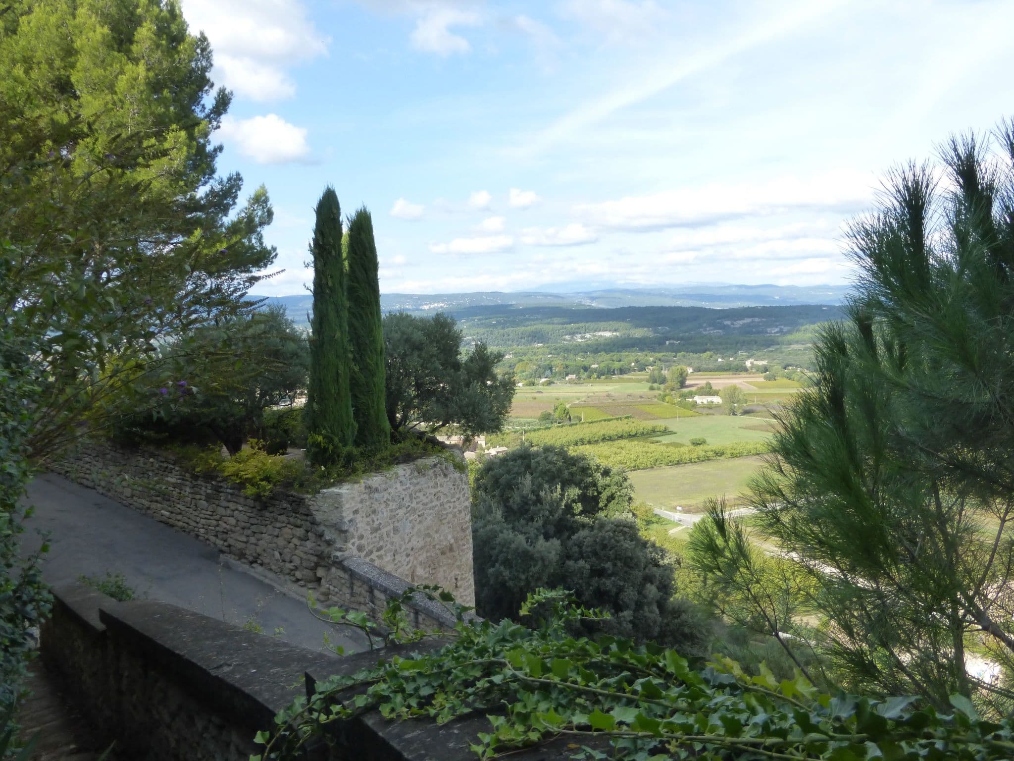 View