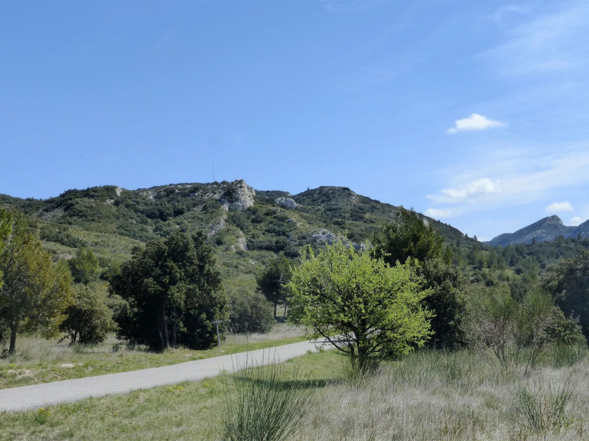 View