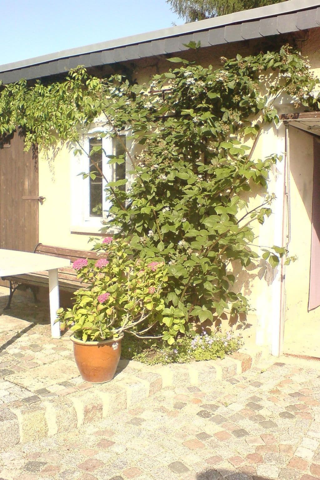 Gallery Image 23
