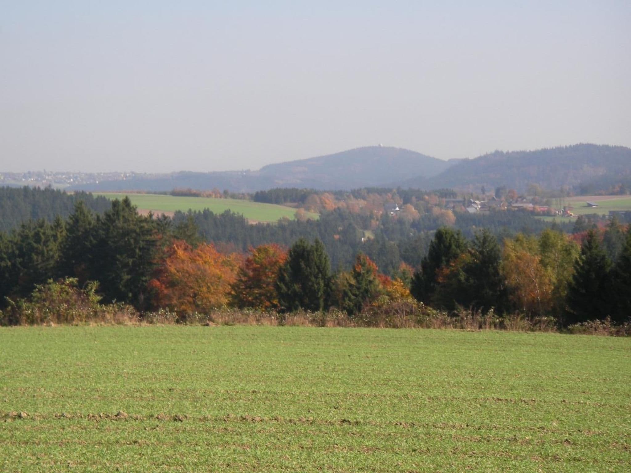 View