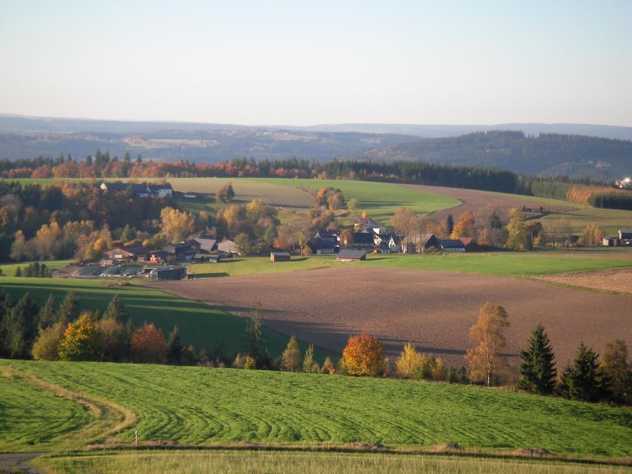 View