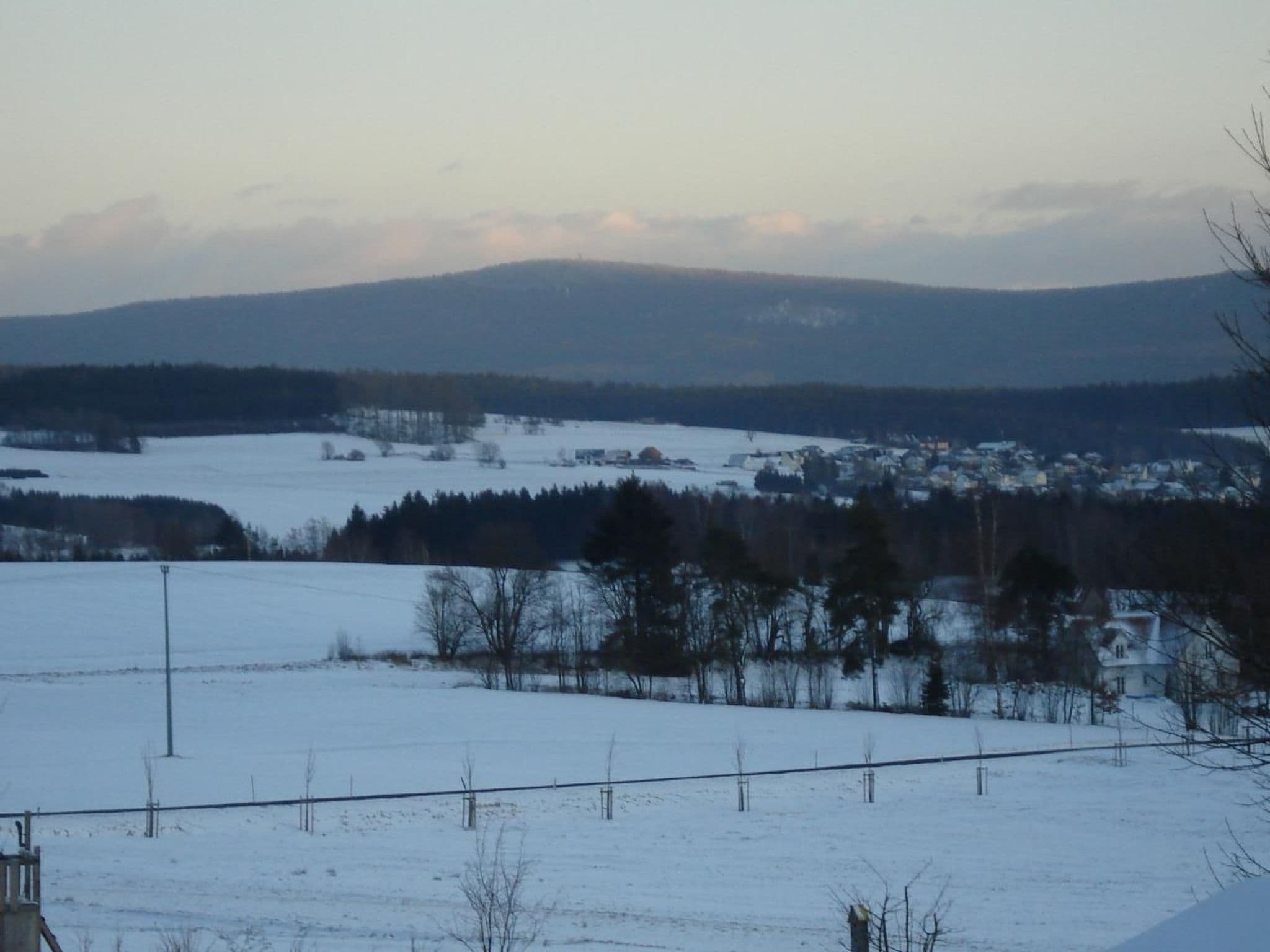 Gallery Image 14