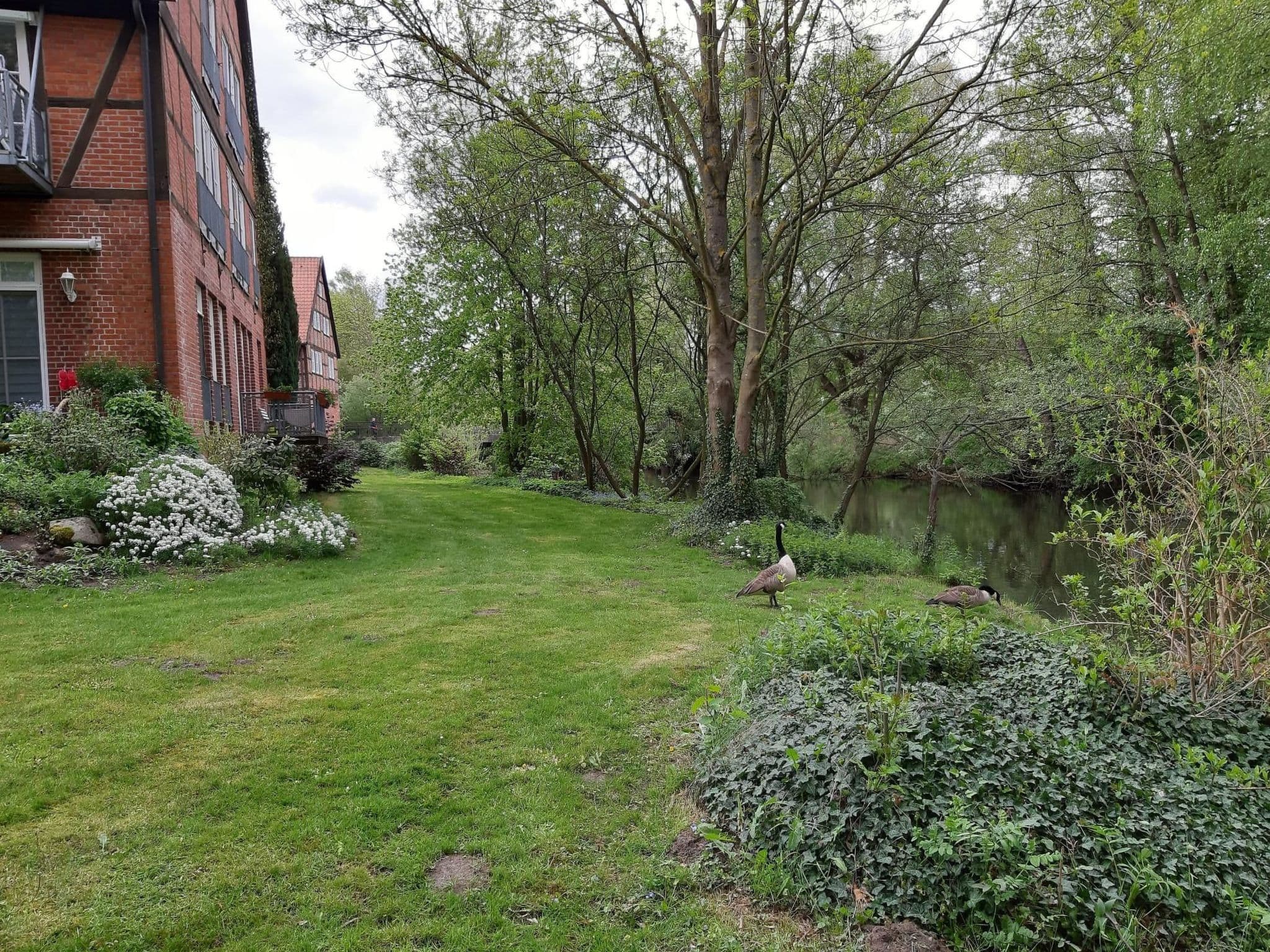 Gallery Image 43