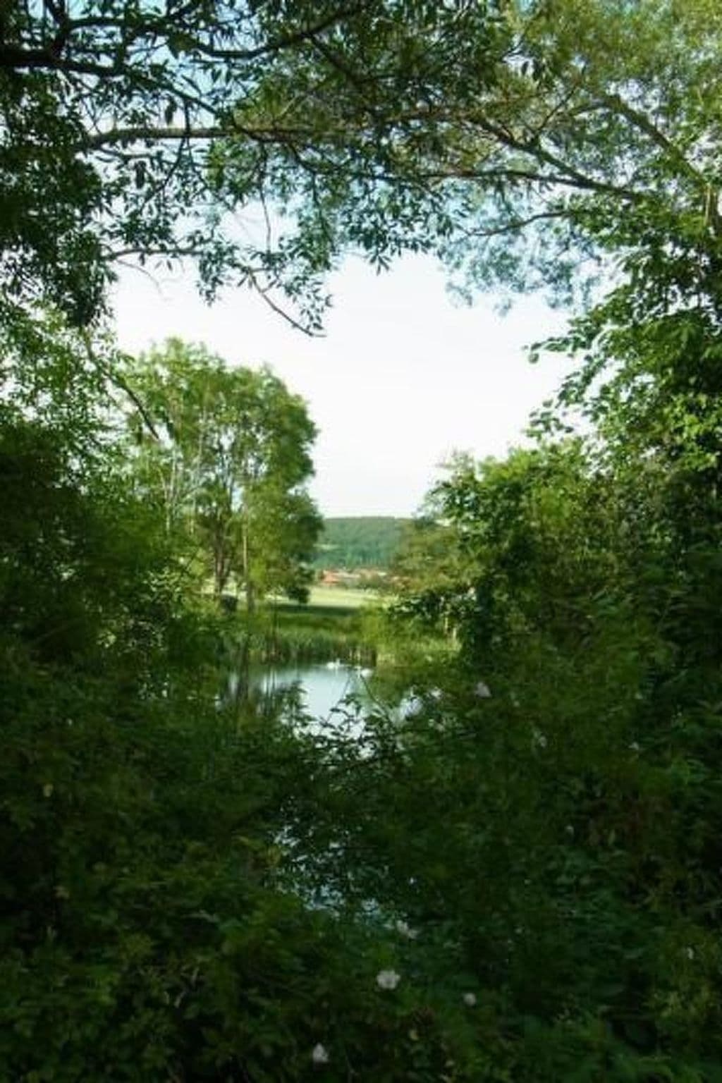 Gallery Image 28