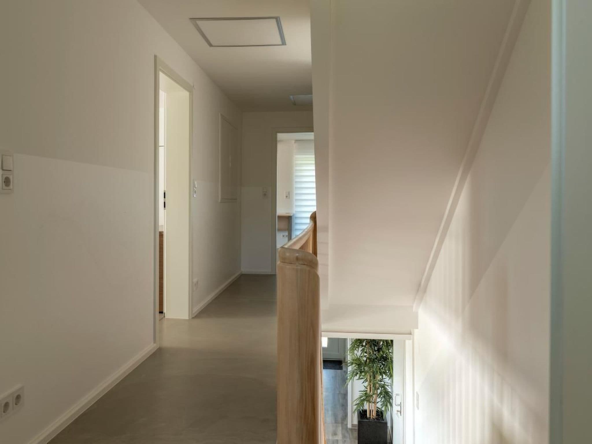 Gallery Image 16
