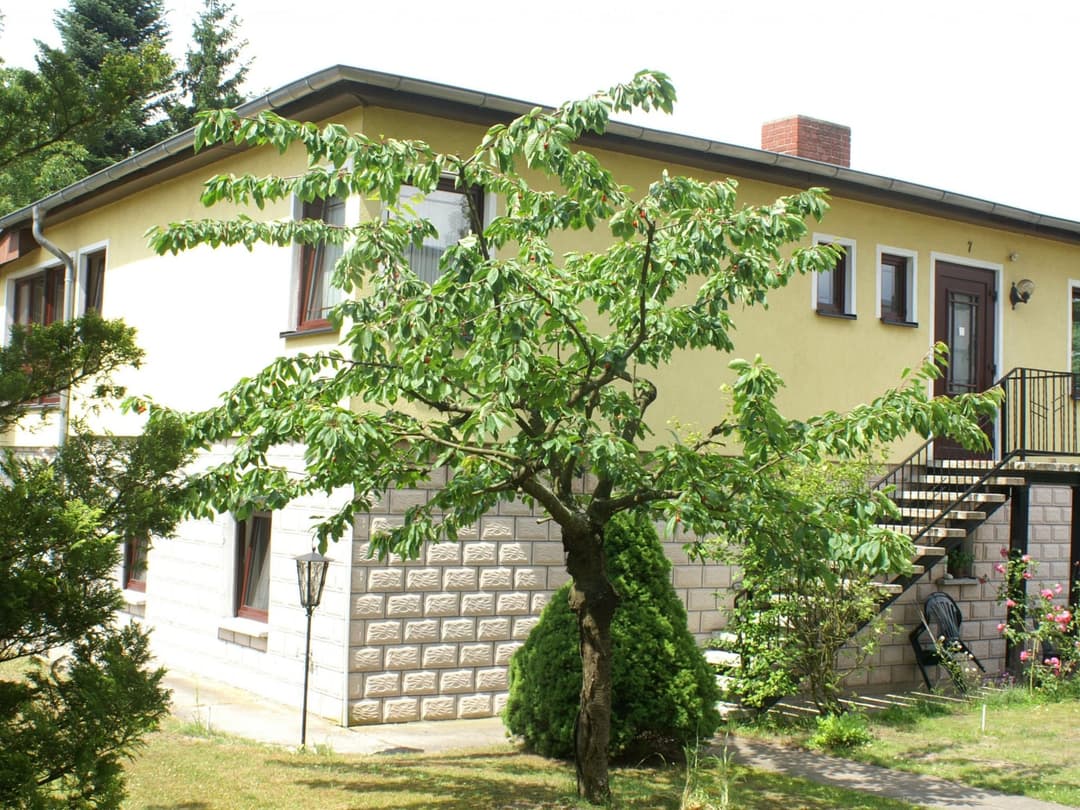Large Image