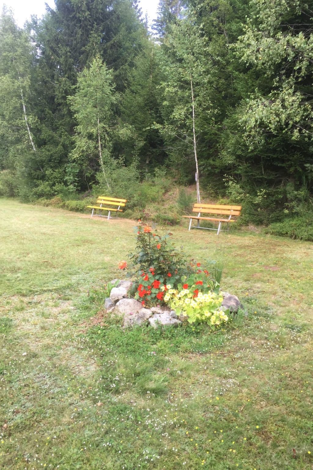 Gallery Image 14