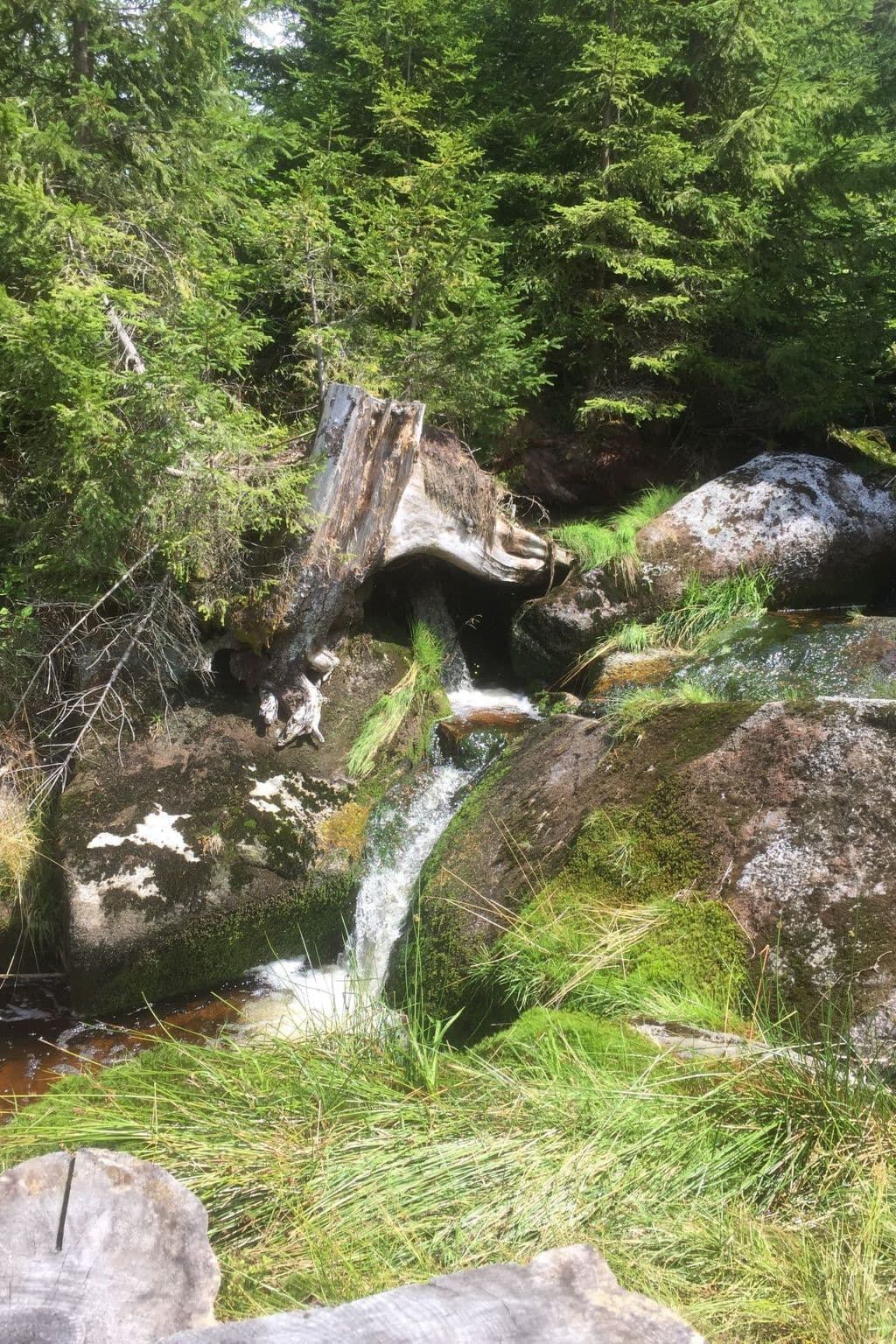 Gallery Image 15