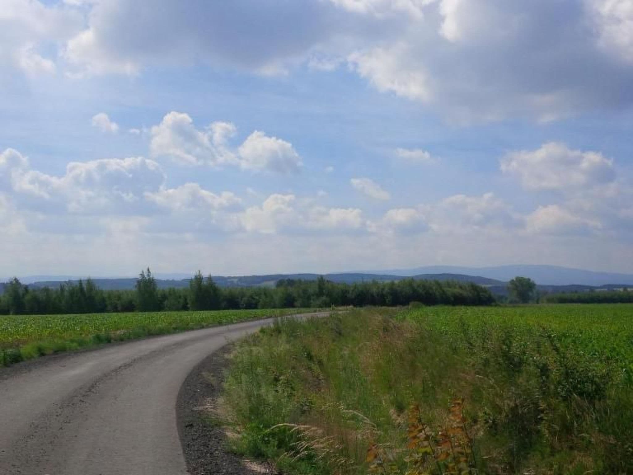 View