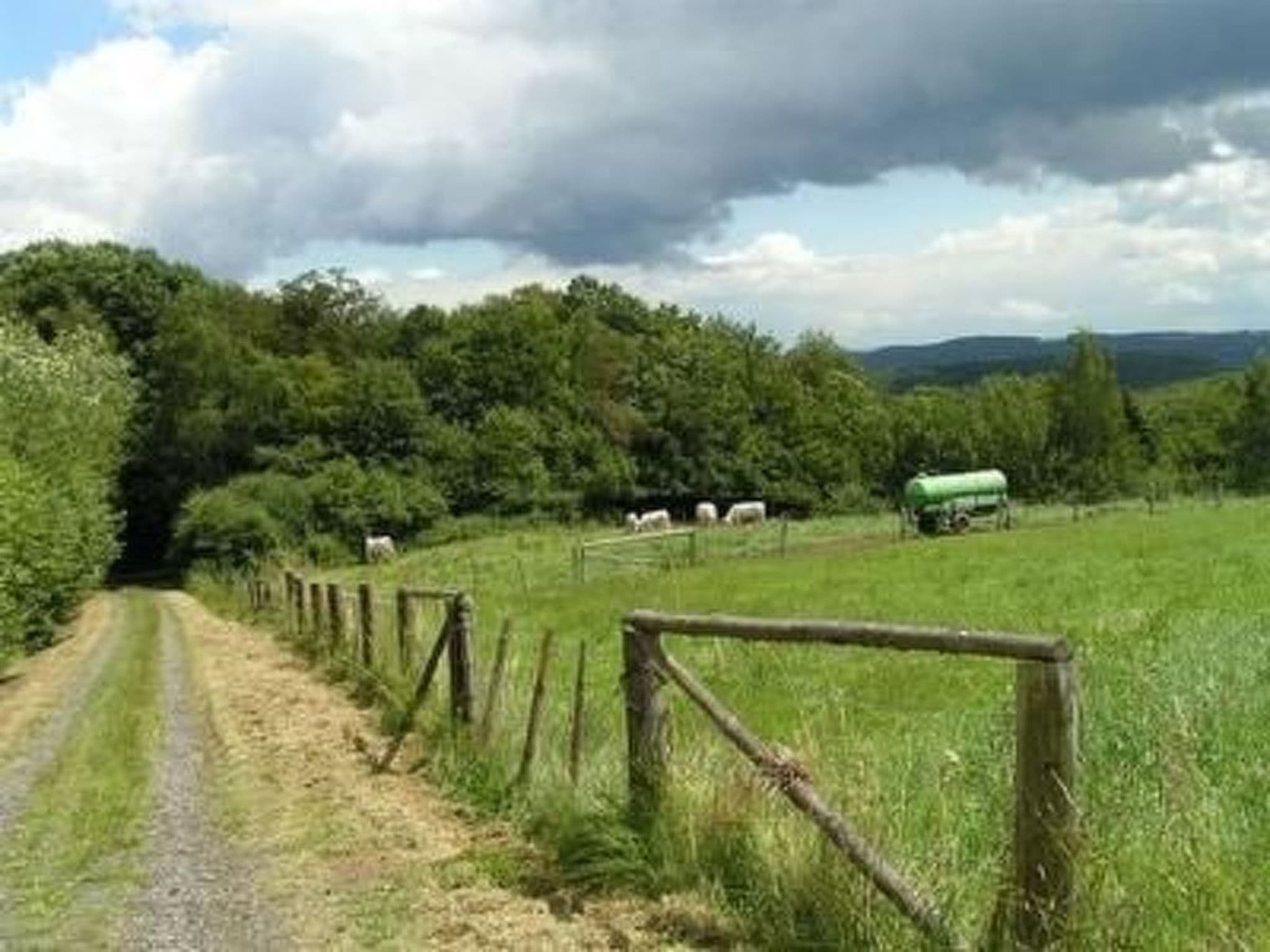 Gallery Image 20