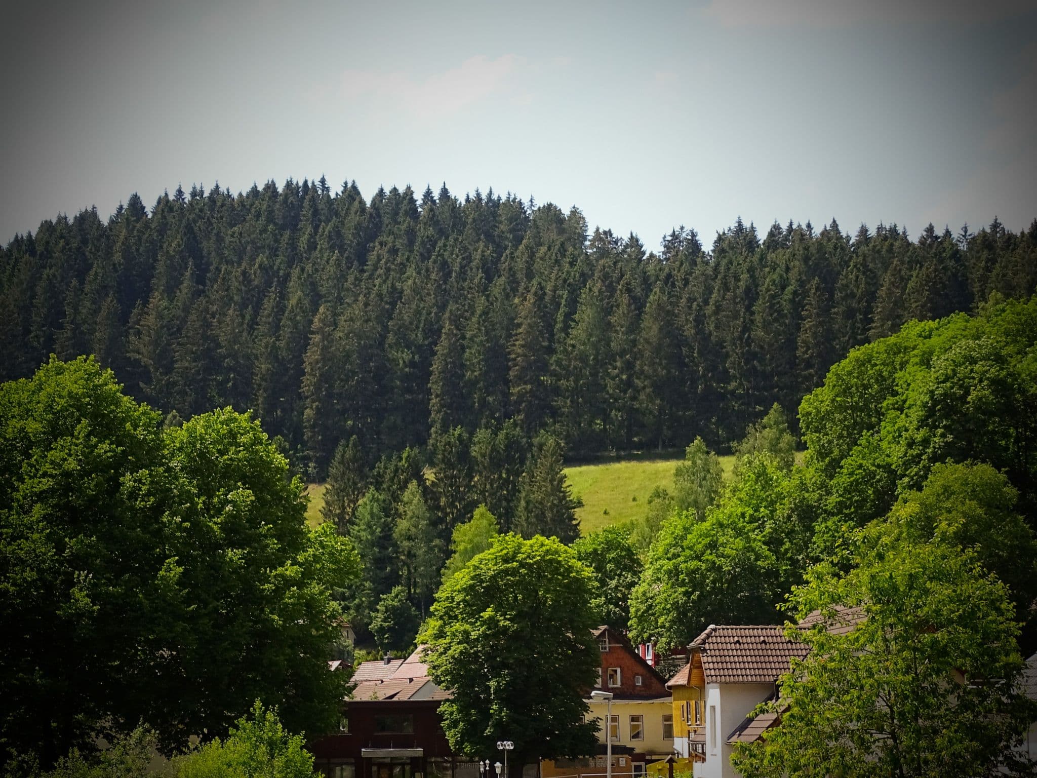 View