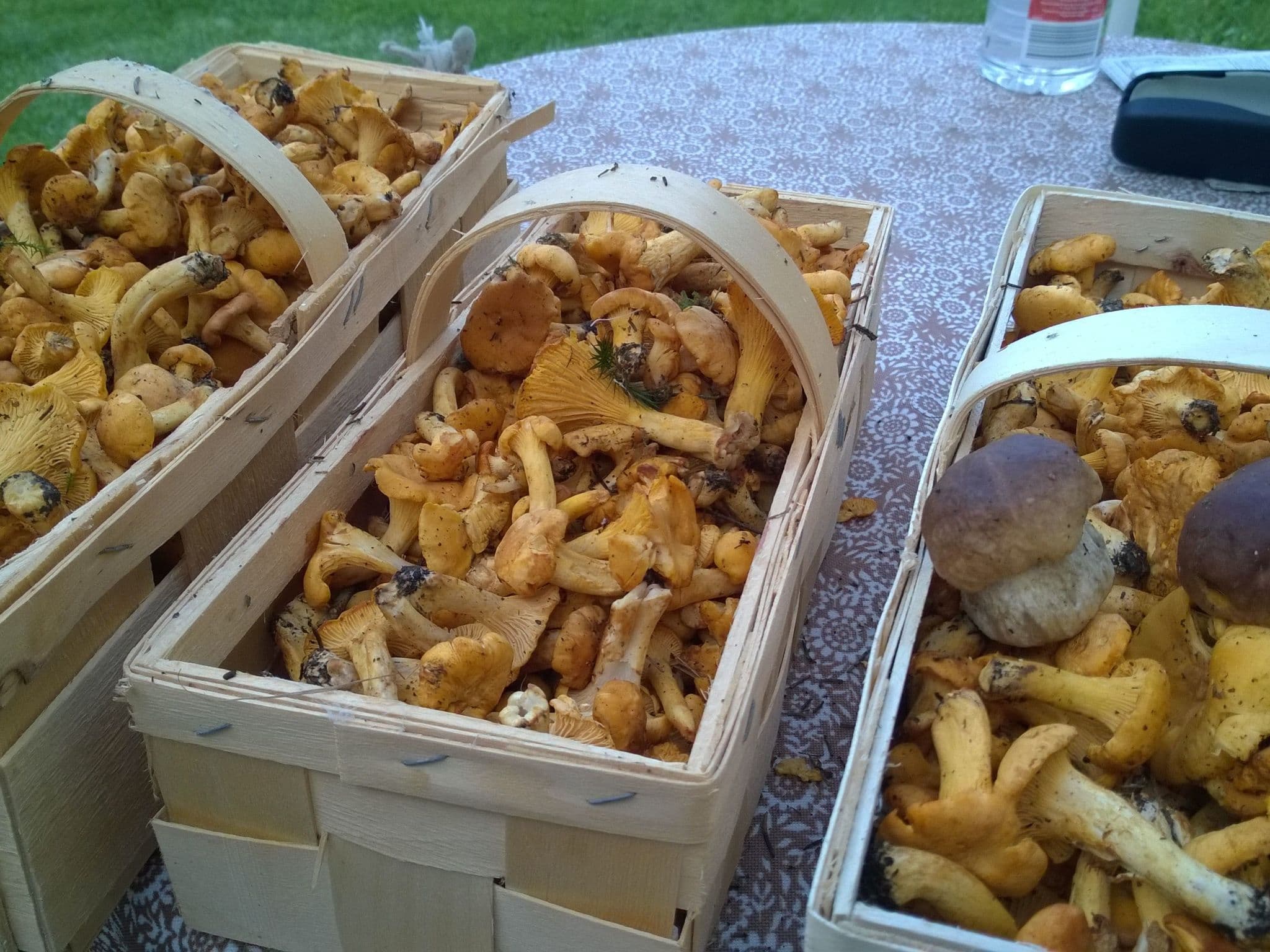 Gallery Image 39