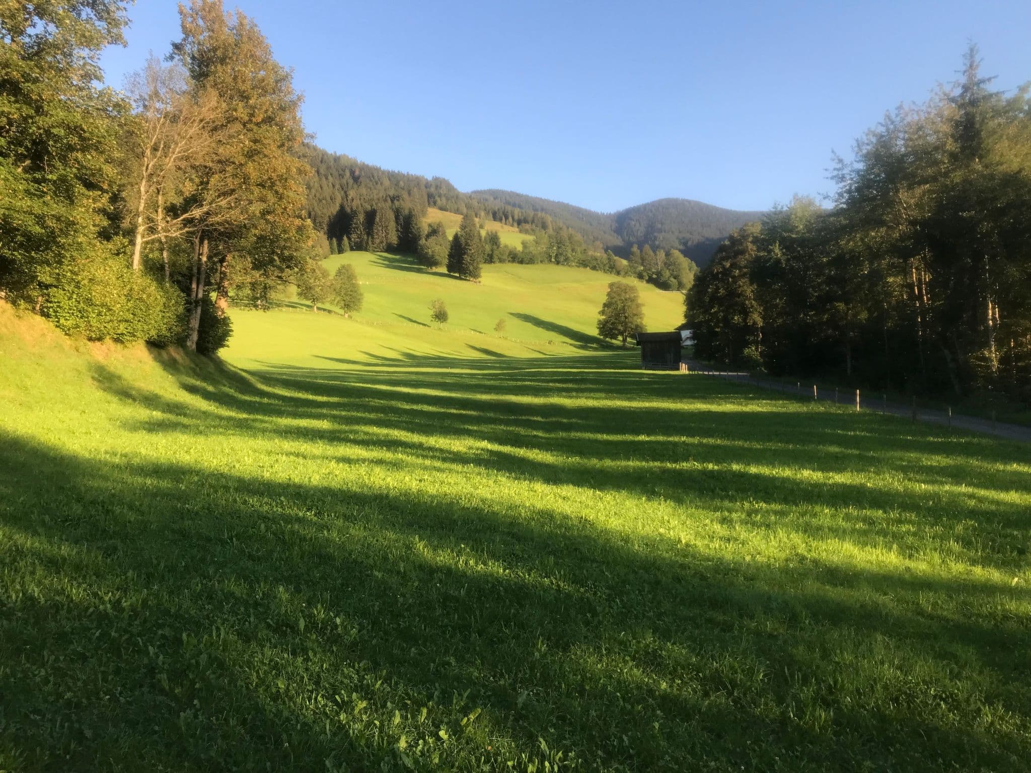 Gallery Image 21