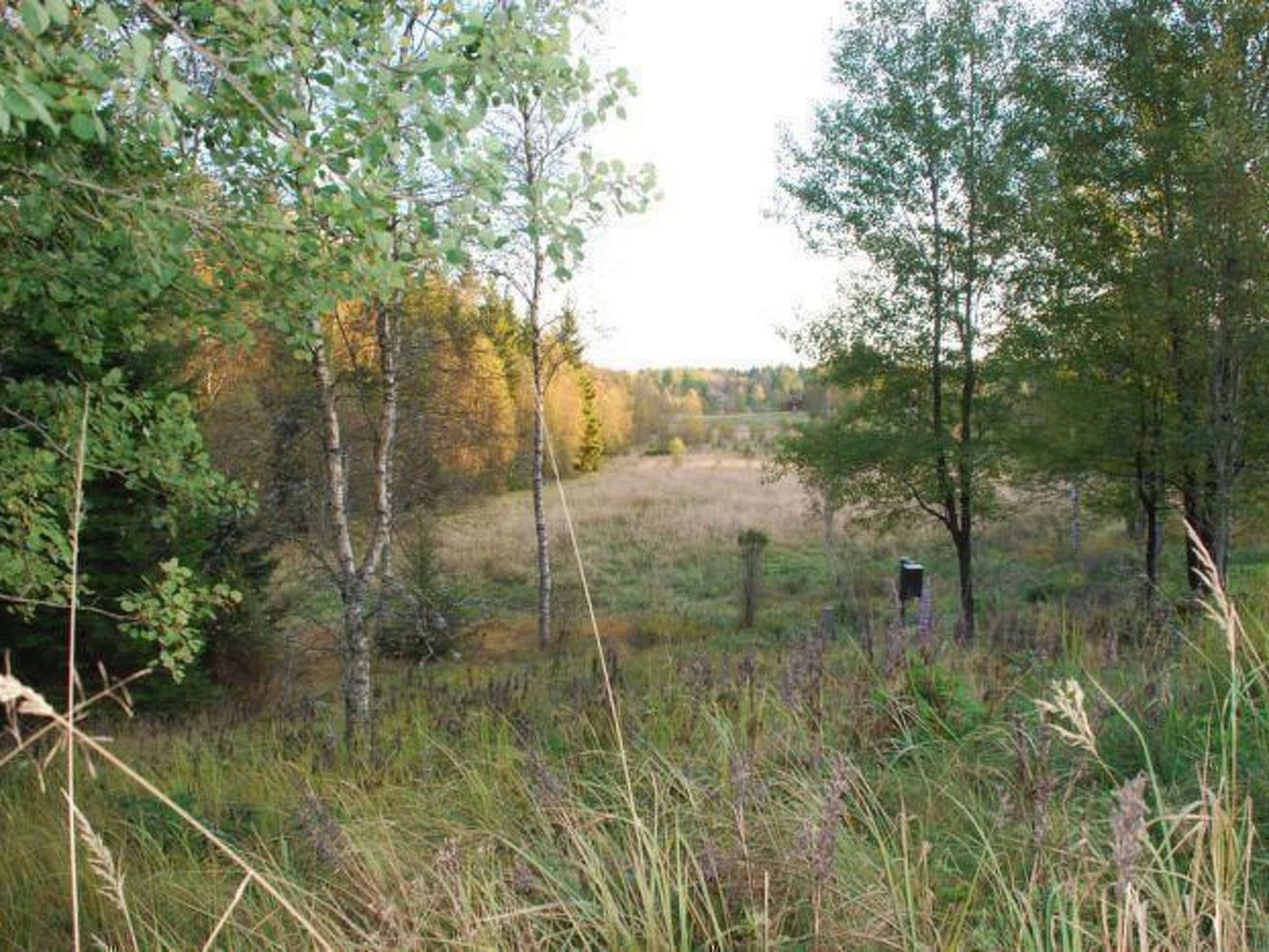 Place