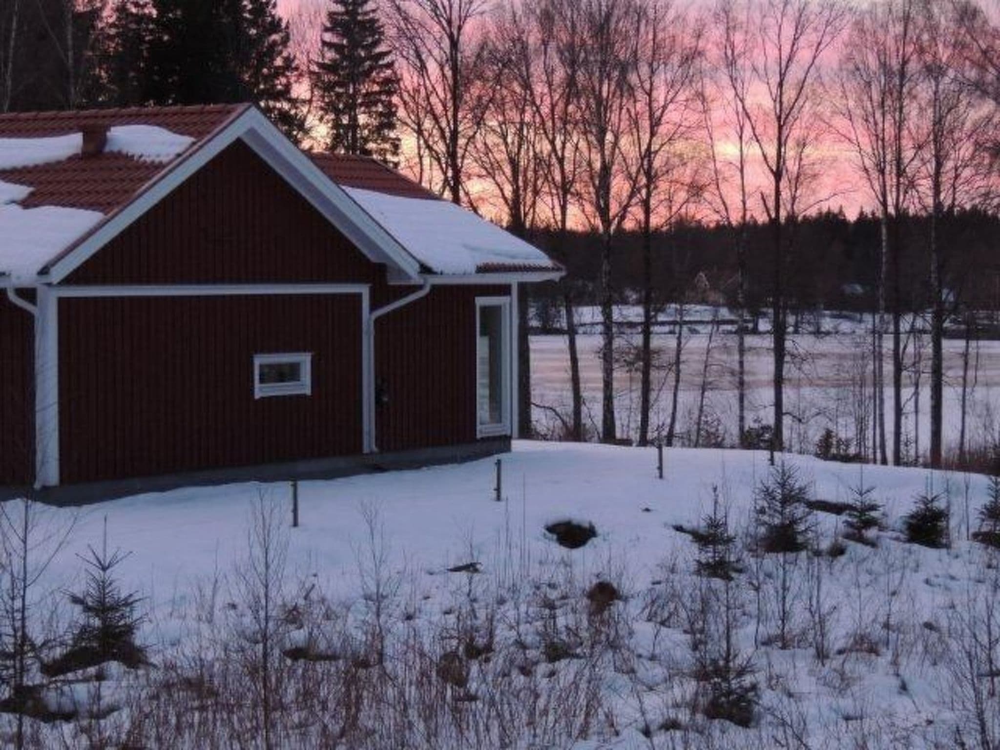 Gallery Image 31