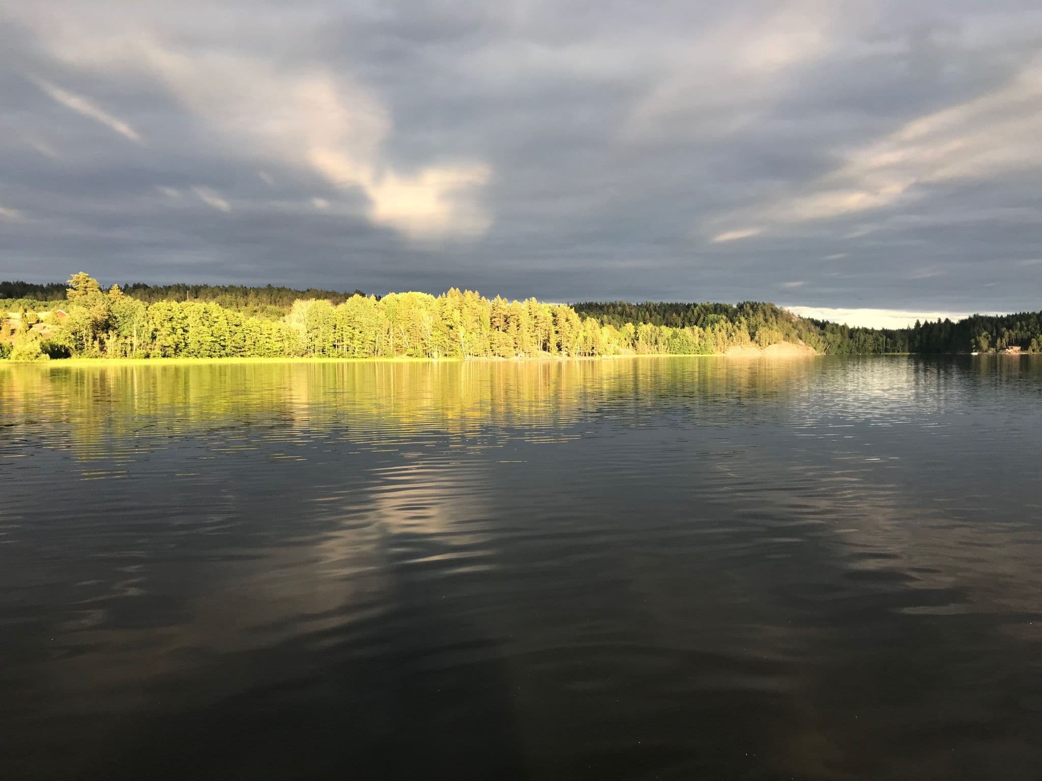View