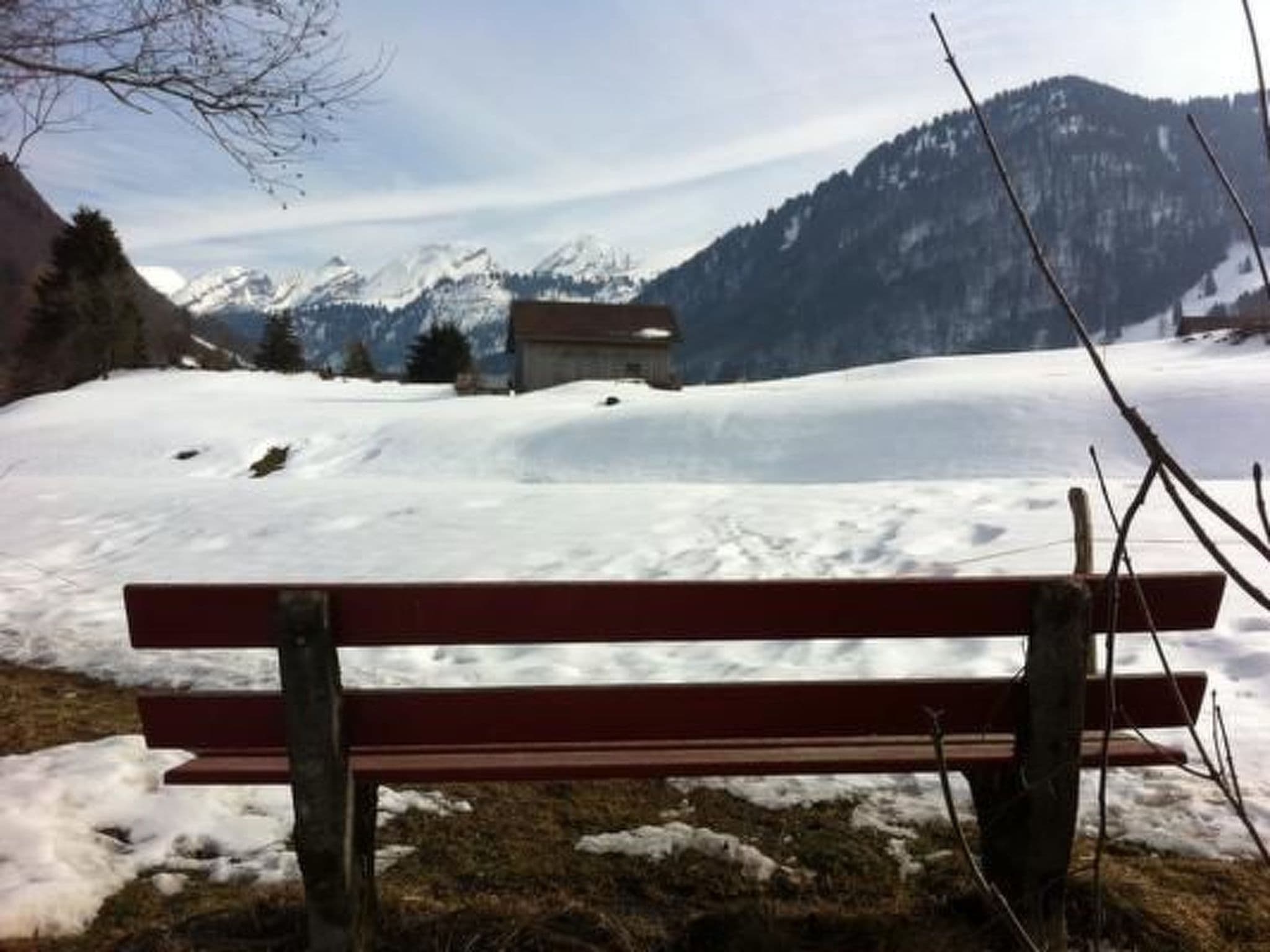 Gallery Image 22