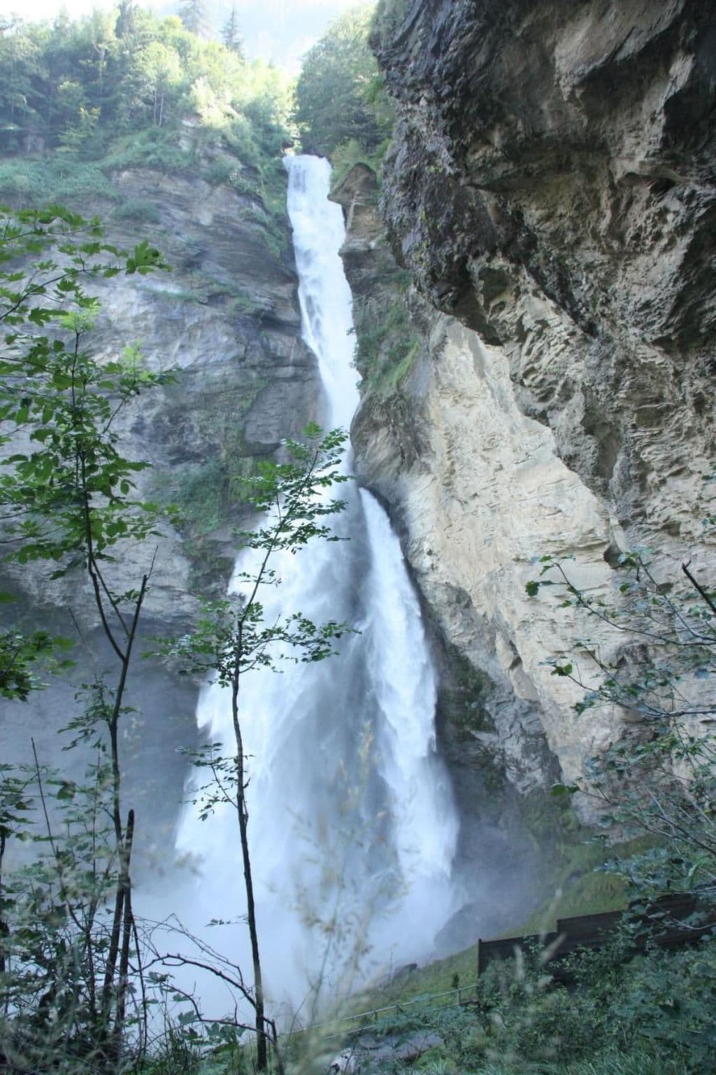 Gallery Image 29