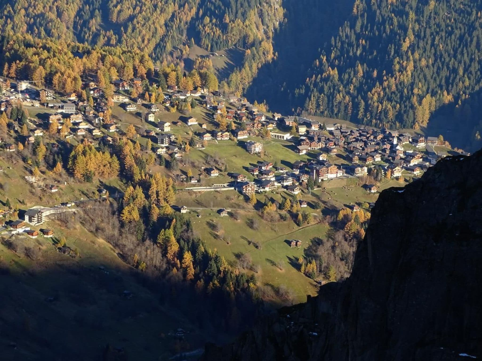 View
