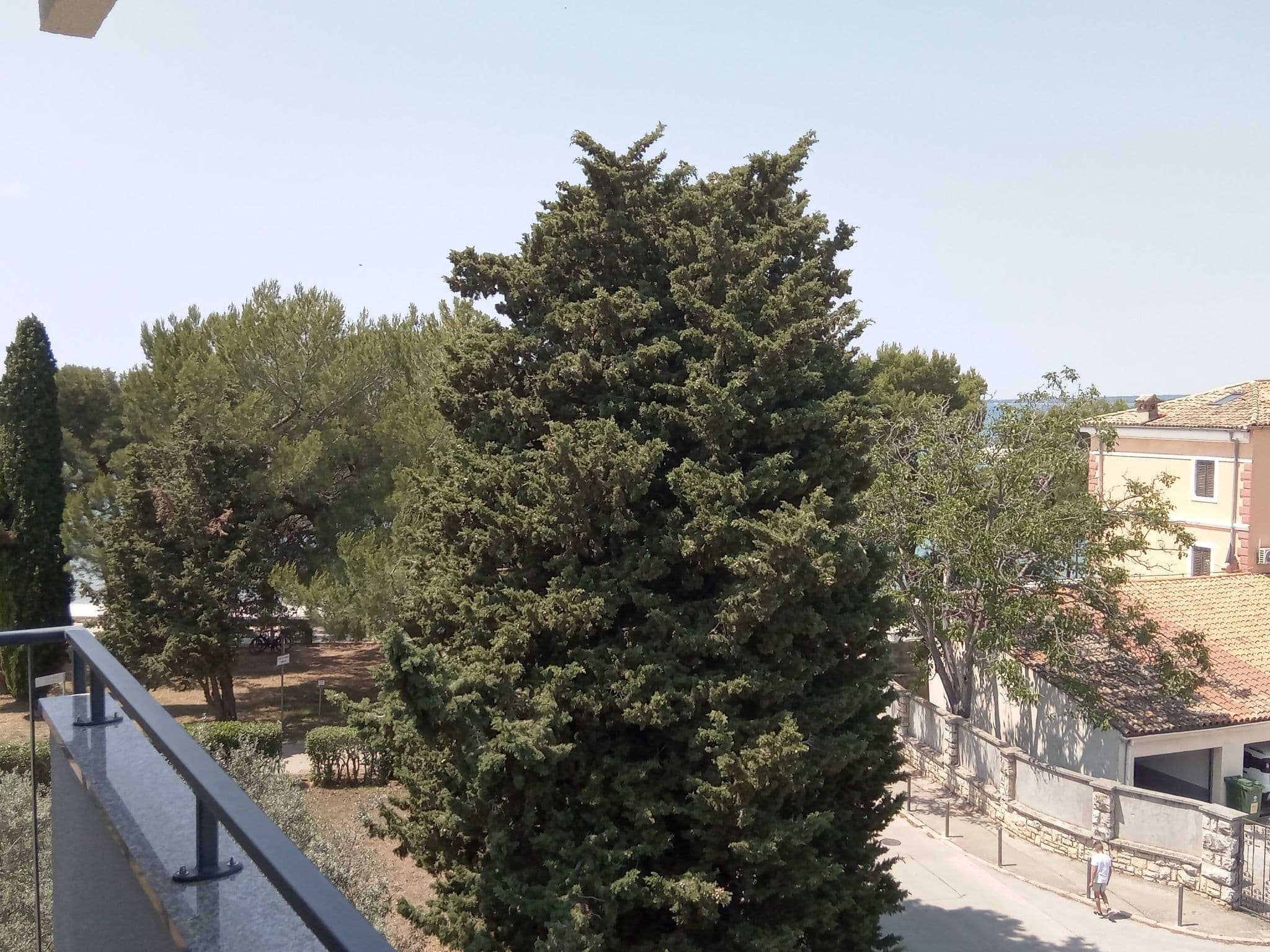 Gallery Image 12
