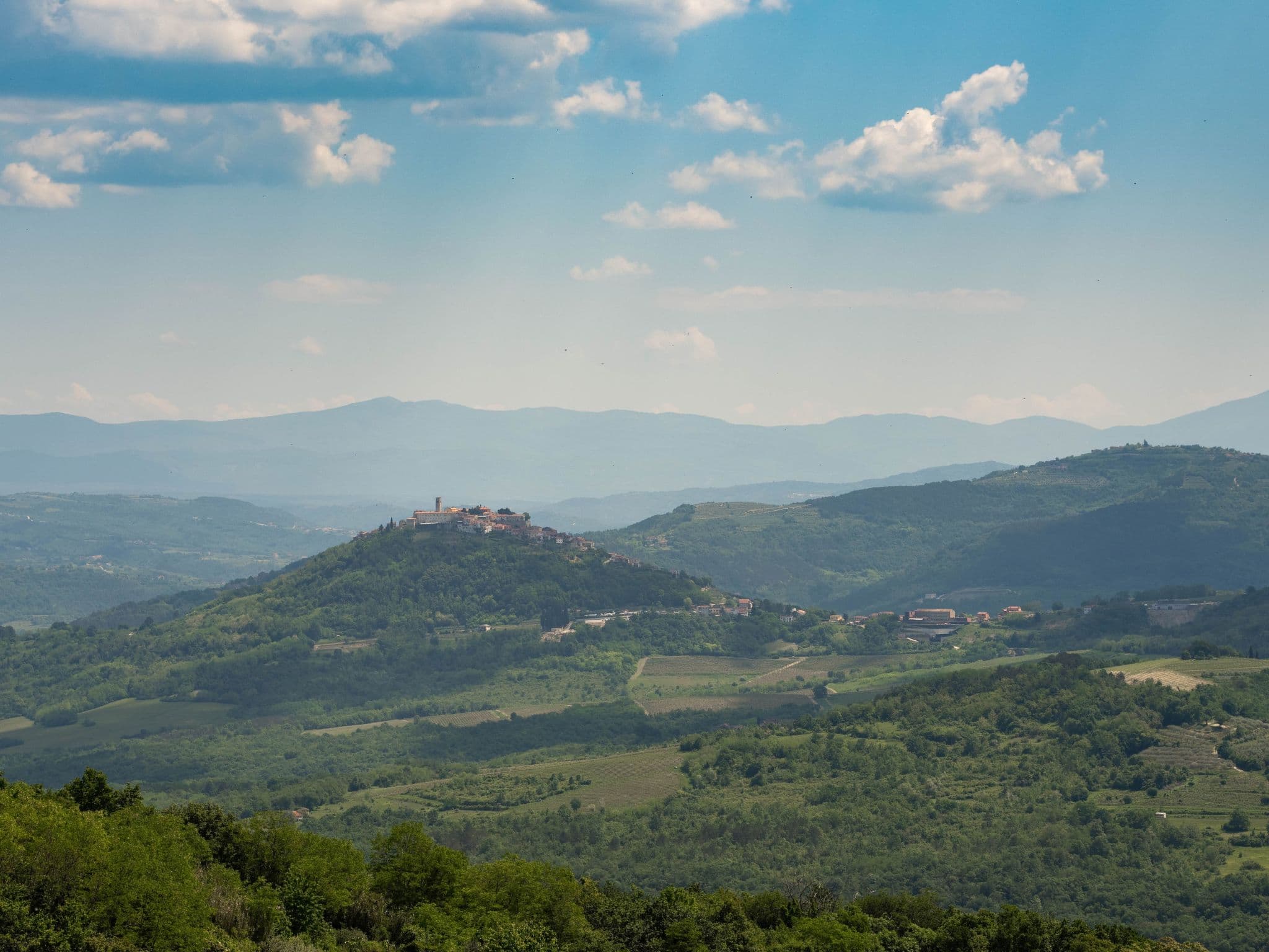 View