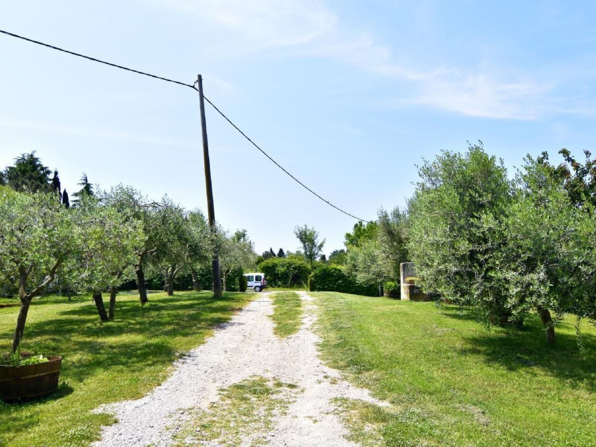 Gallery Image 10