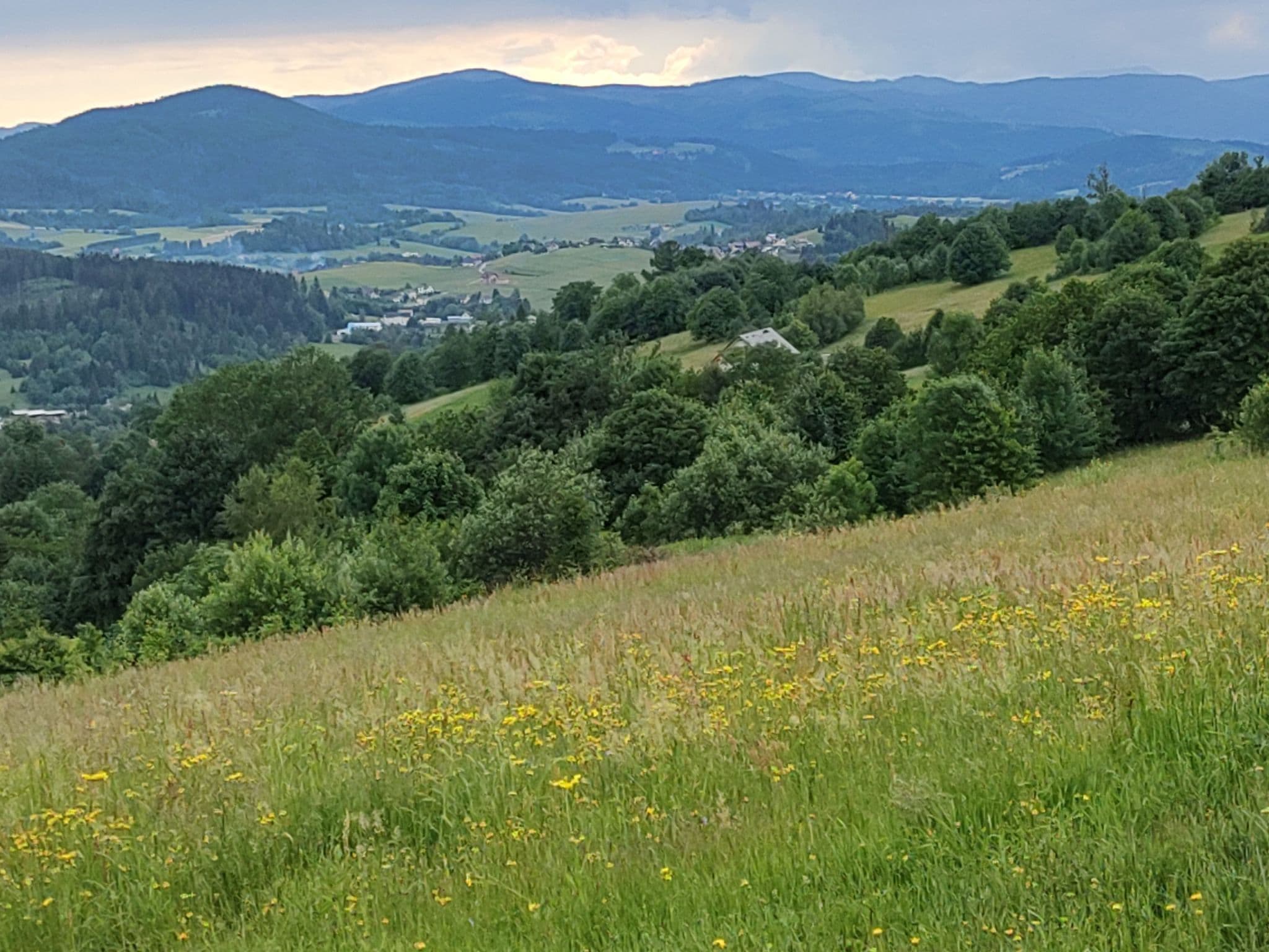 View